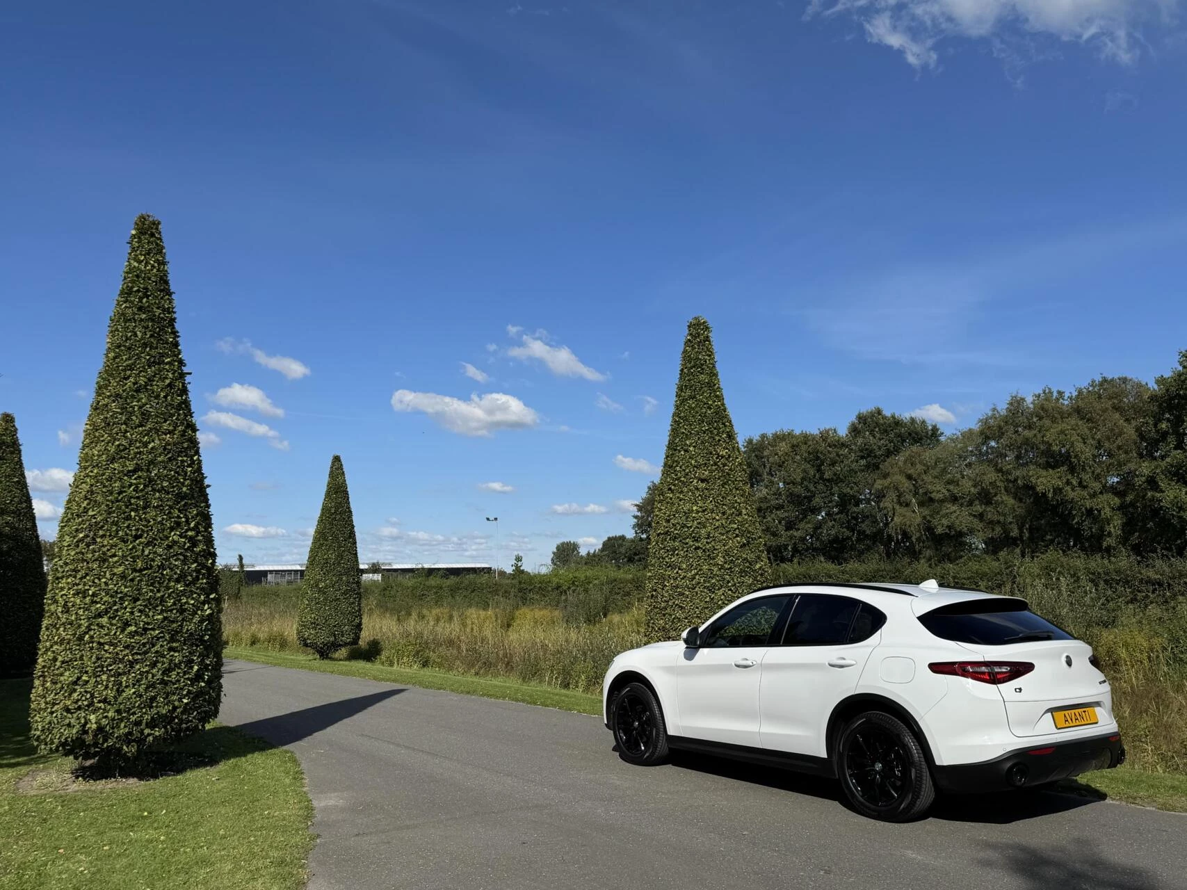 Hoofdafbeelding Alfa Romeo Stelvio