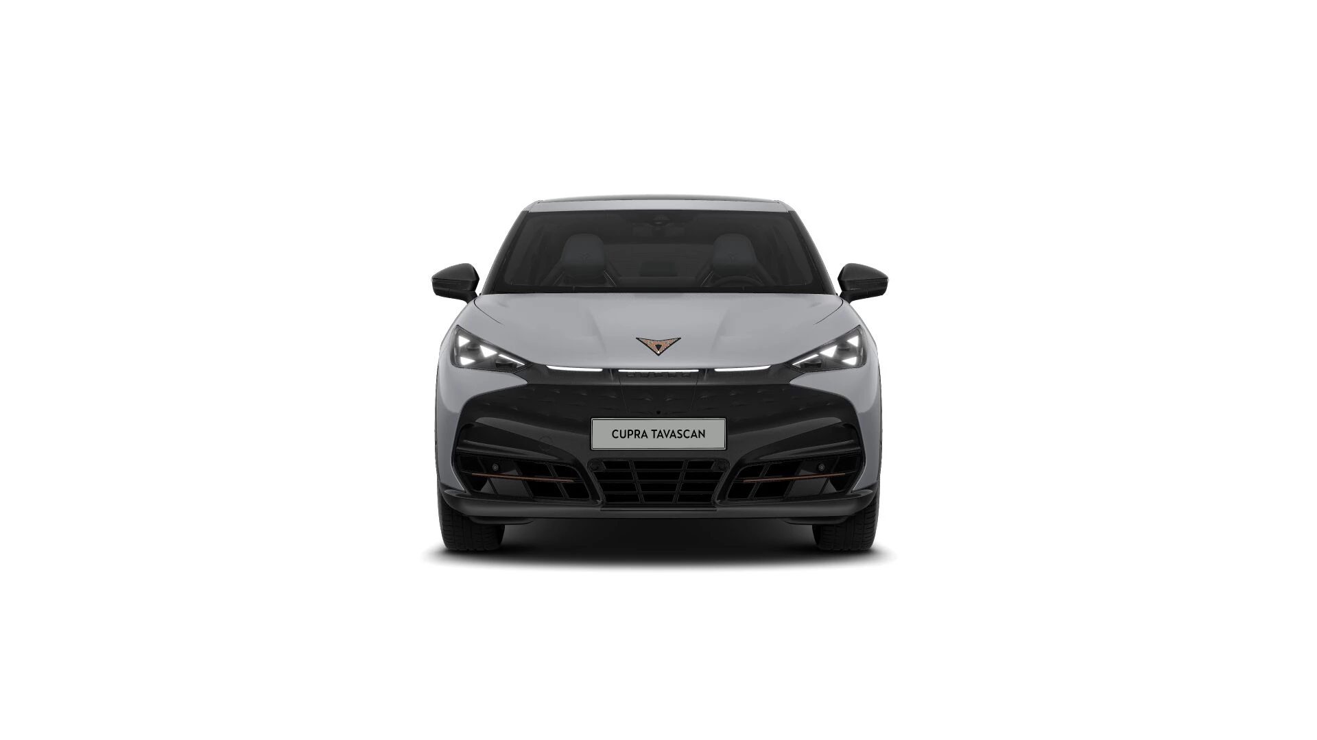 Hoofdafbeelding CUPRA Tavascan