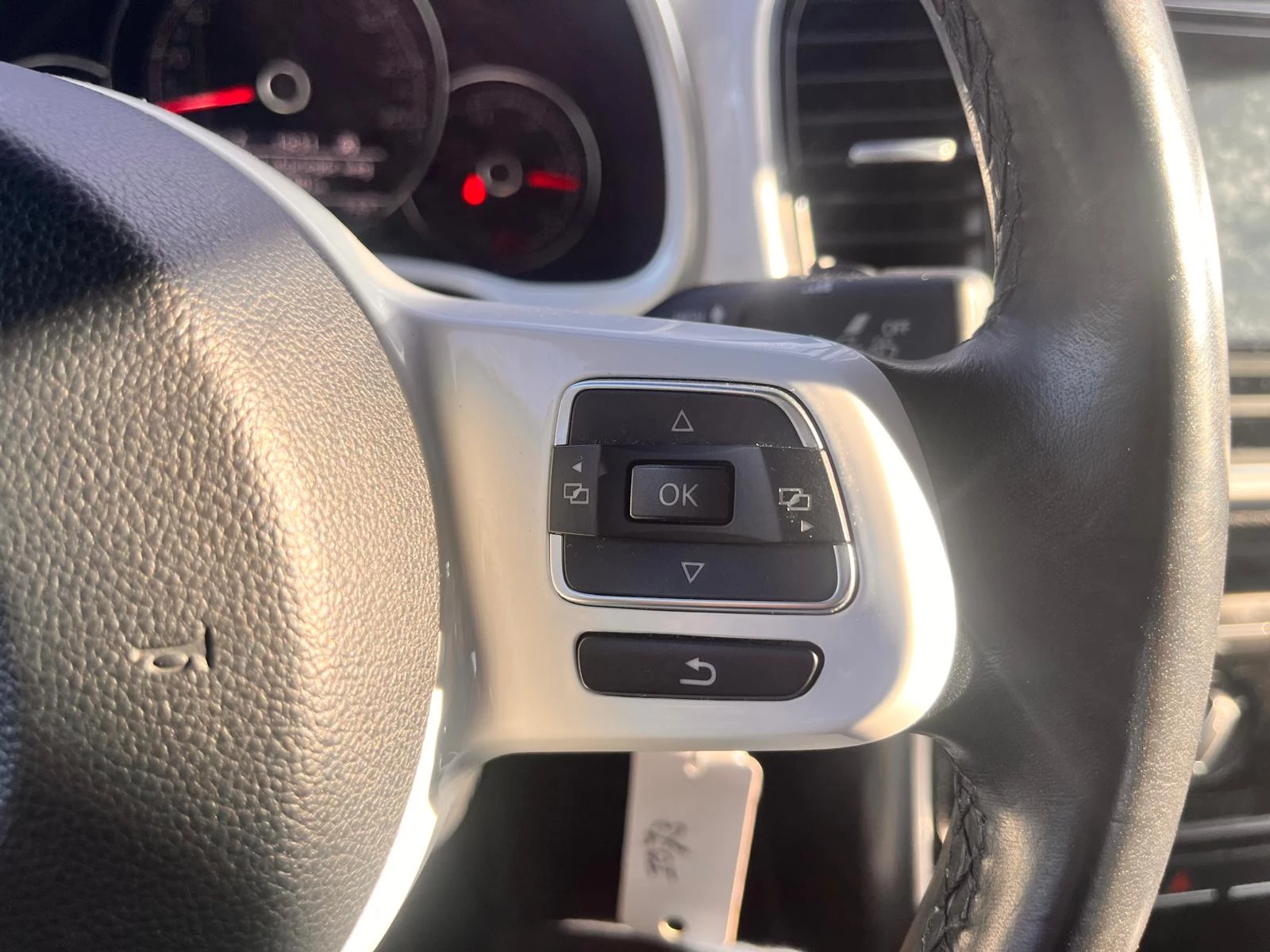 Hoofdafbeelding Volkswagen Beetle