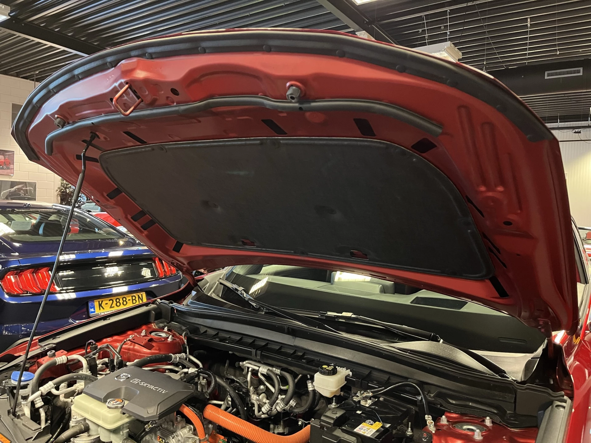 Hoofdafbeelding Mazda MX-30