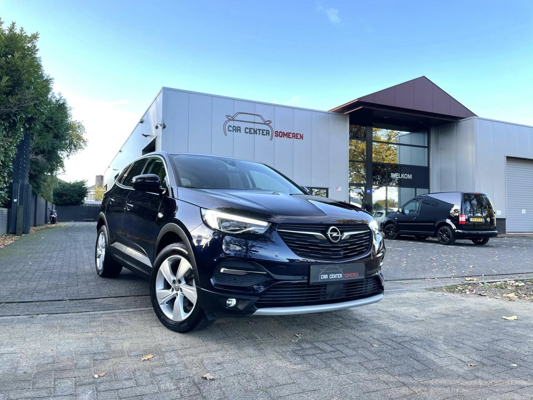 Hoofdafbeelding Opel Grandland X