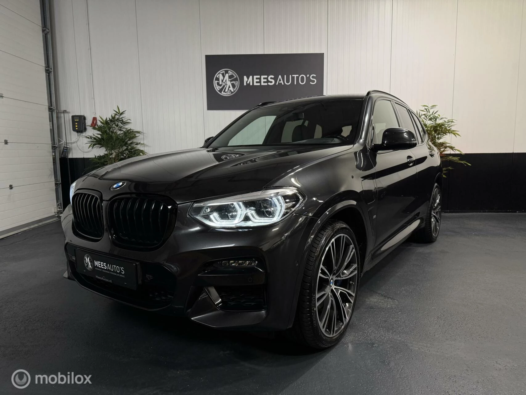 Hoofdafbeelding BMW X3