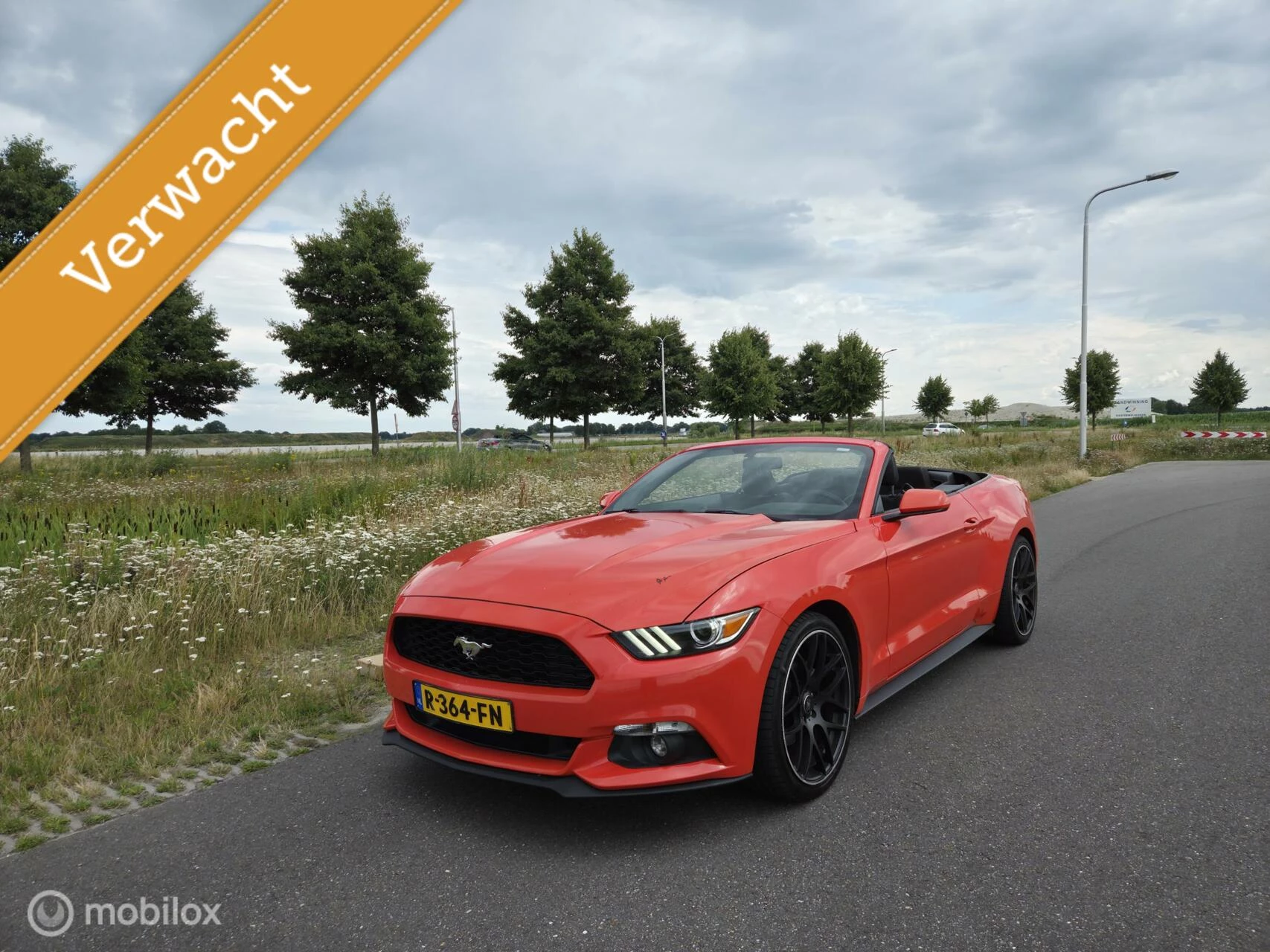 Hoofdafbeelding Ford Mustang