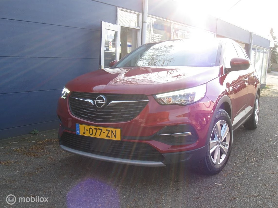 Hoofdafbeelding Opel Grandland X