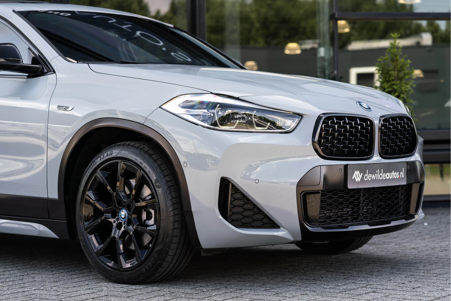 Hoofdafbeelding BMW X2