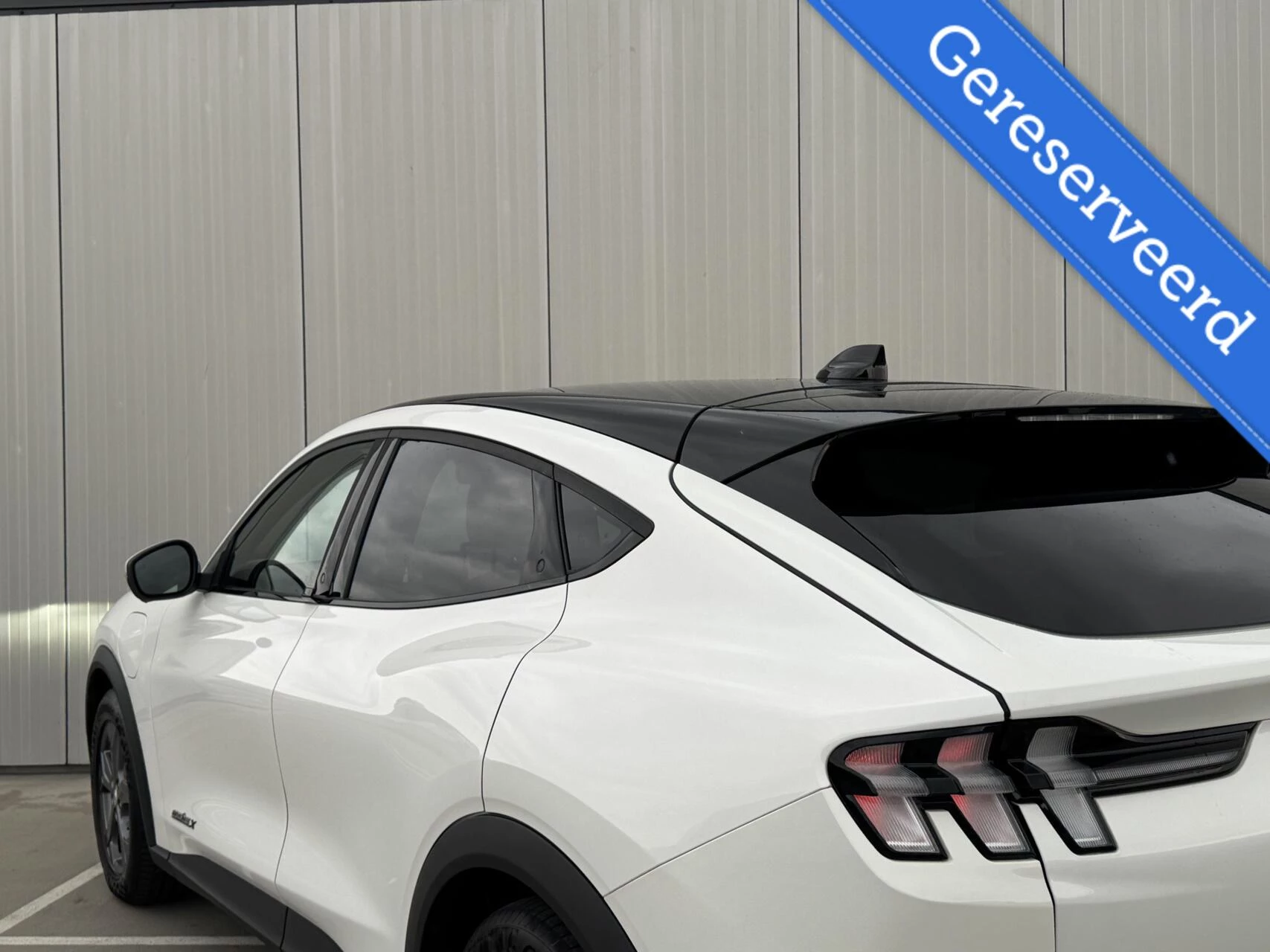 Hoofdafbeelding Ford Mustang Mach-E