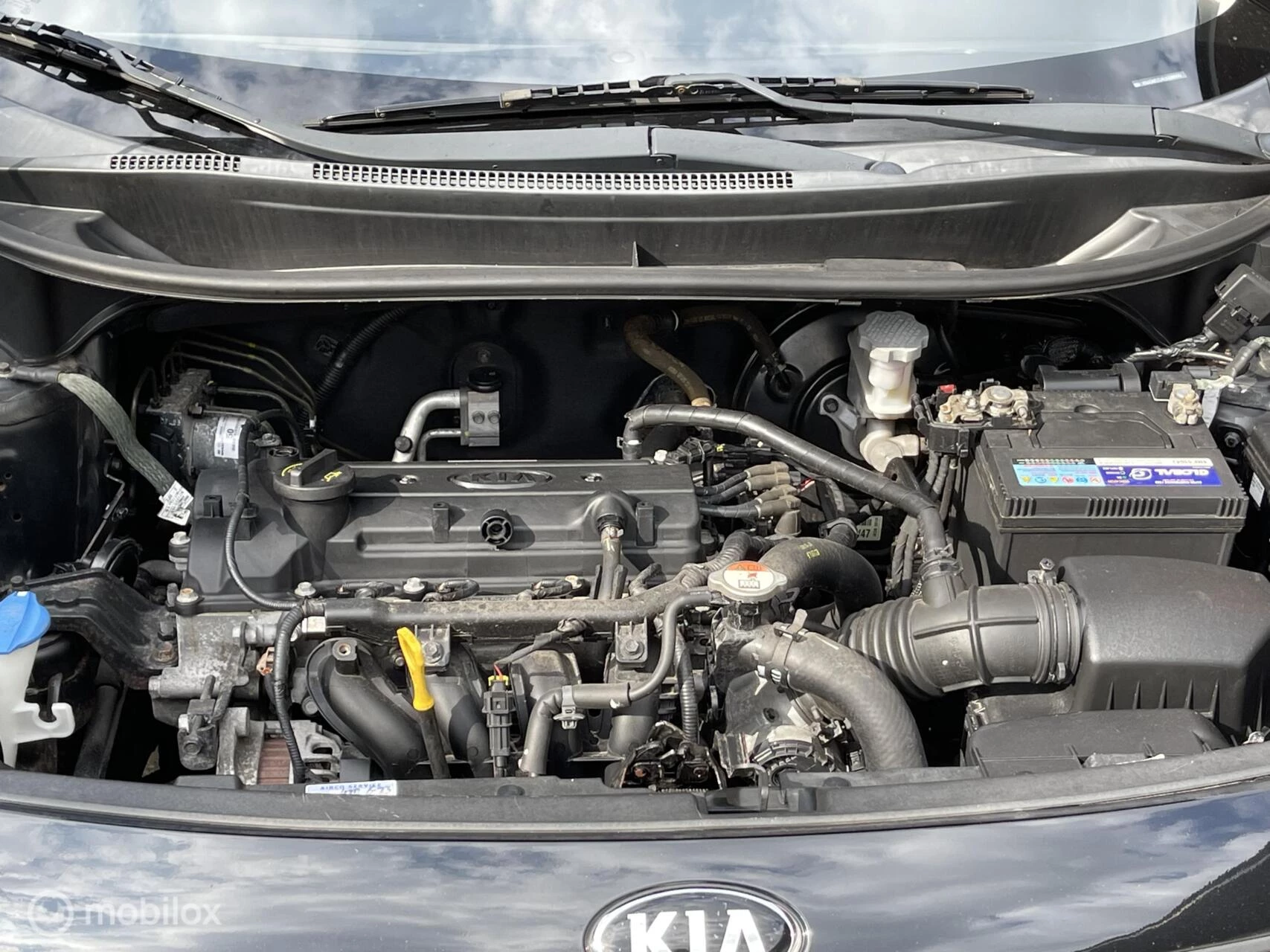 Hoofdafbeelding Kia Rio