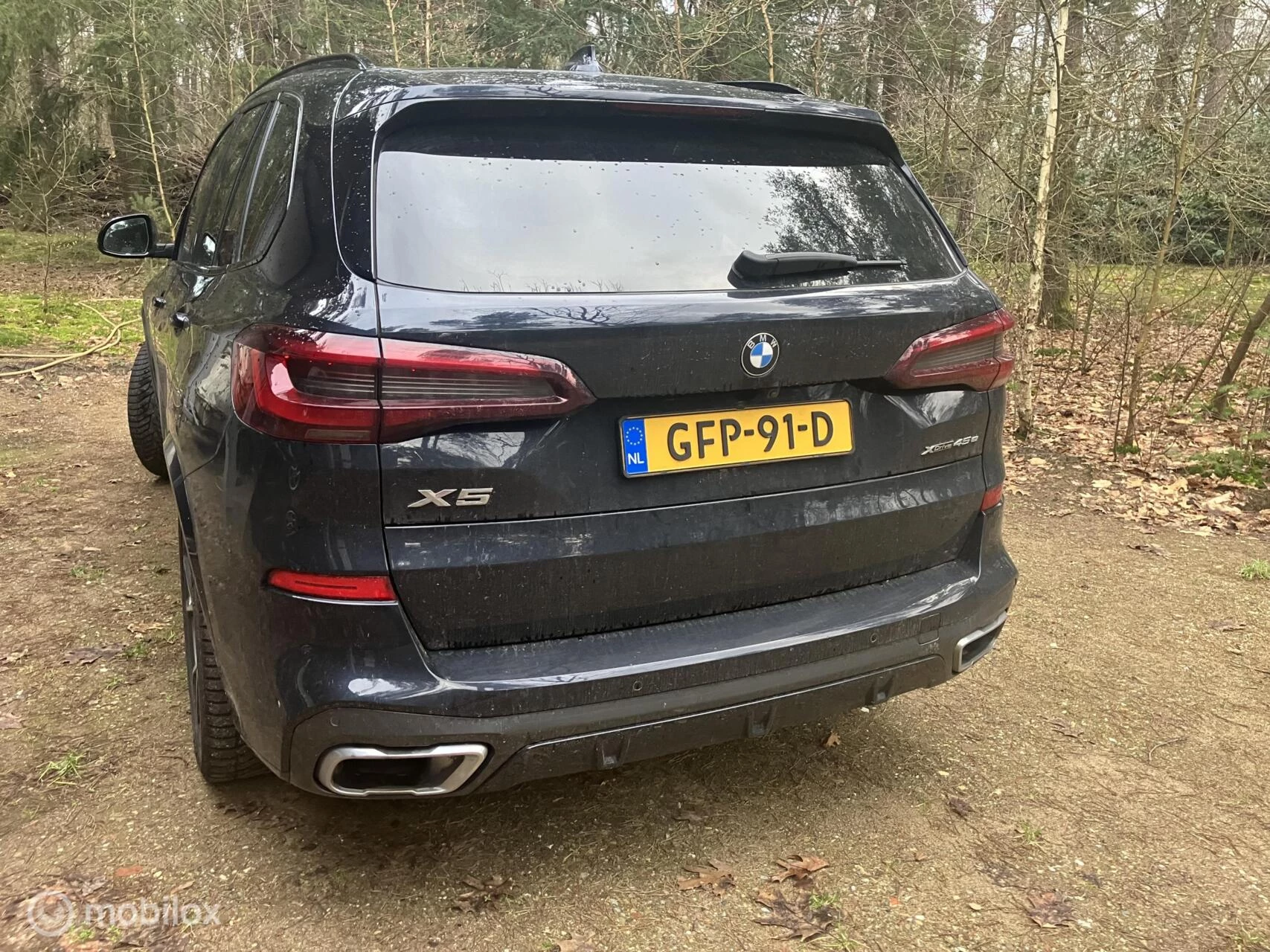Hoofdafbeelding BMW X5