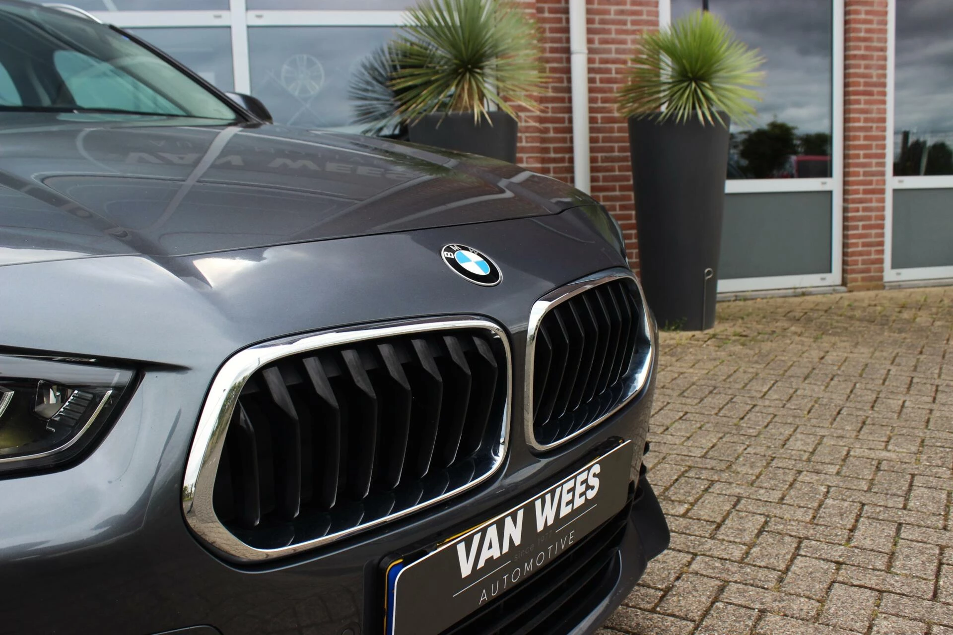 Hoofdafbeelding BMW X2