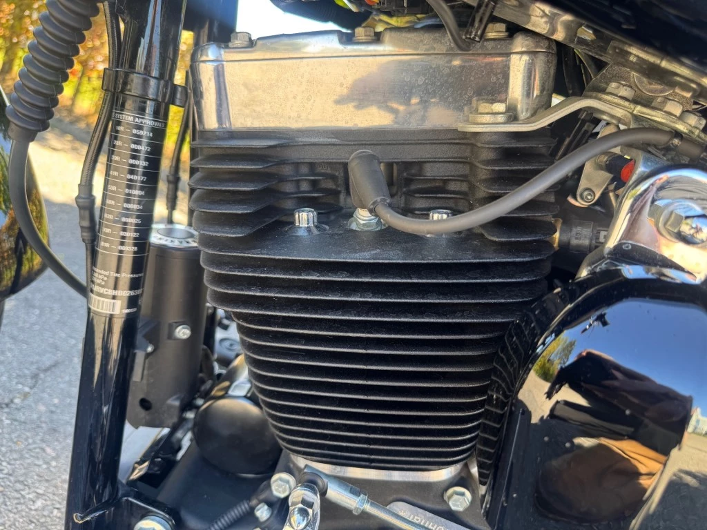Hoofdafbeelding Harley-Davidson Softail
