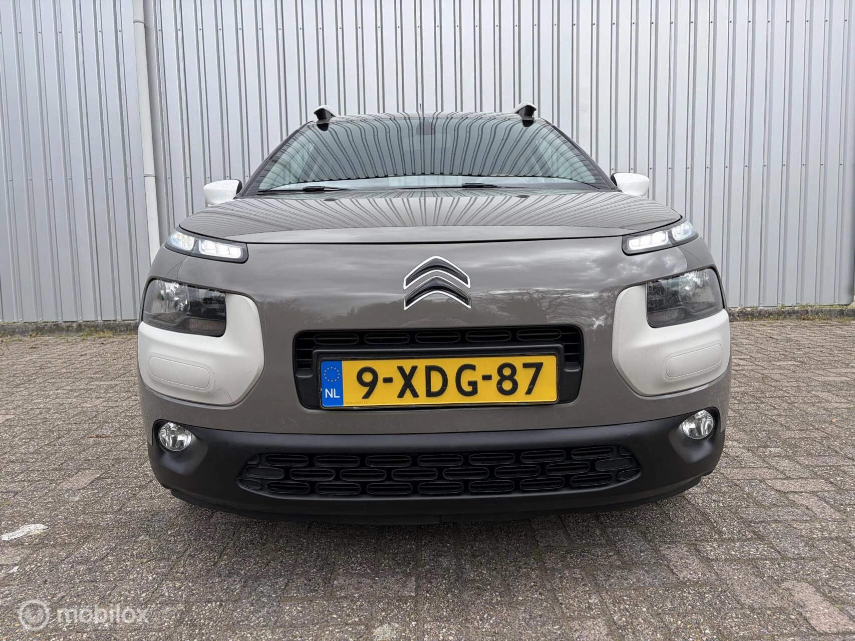 Hoofdafbeelding Citroën C4 Cactus