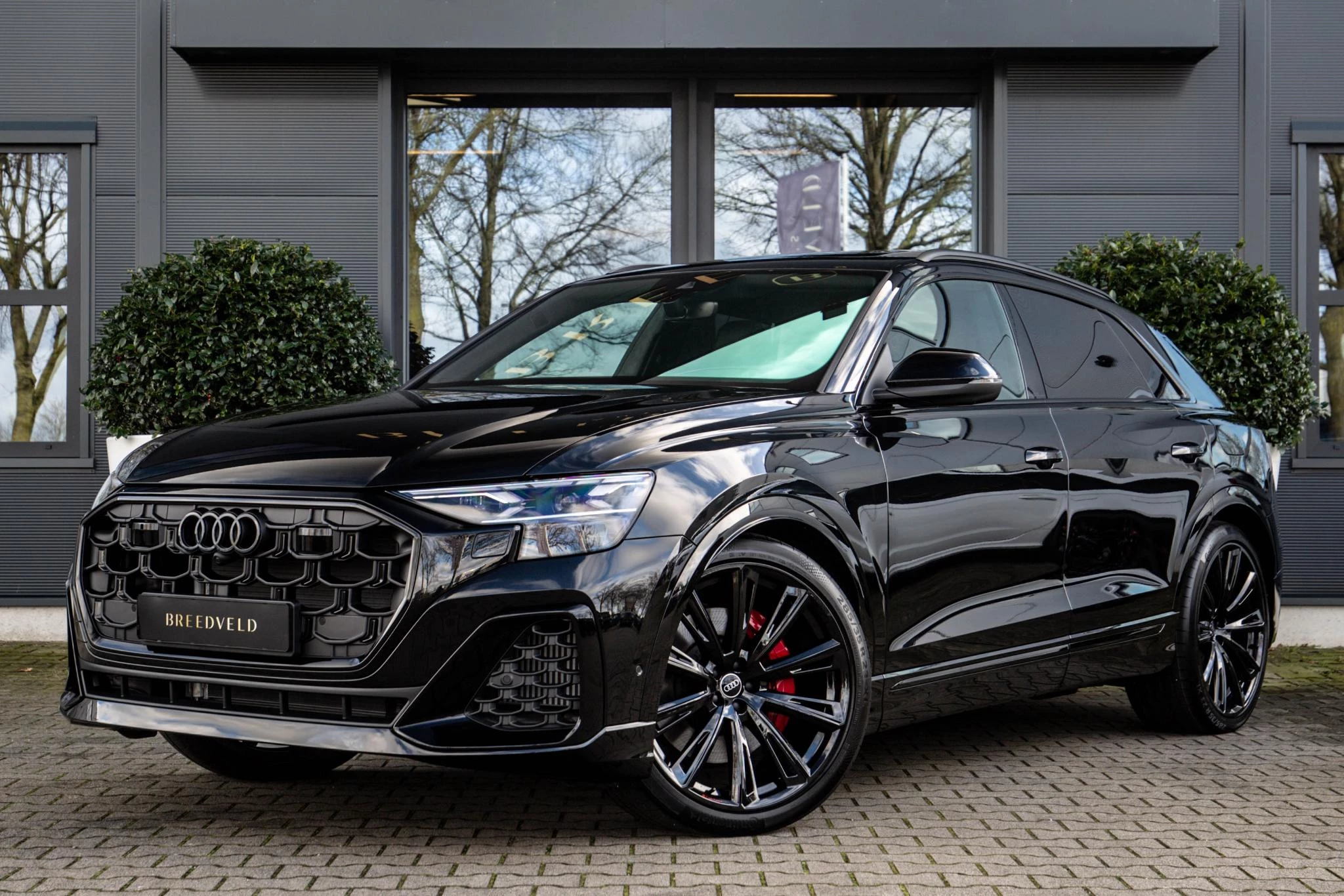 Hoofdafbeelding Audi Q8