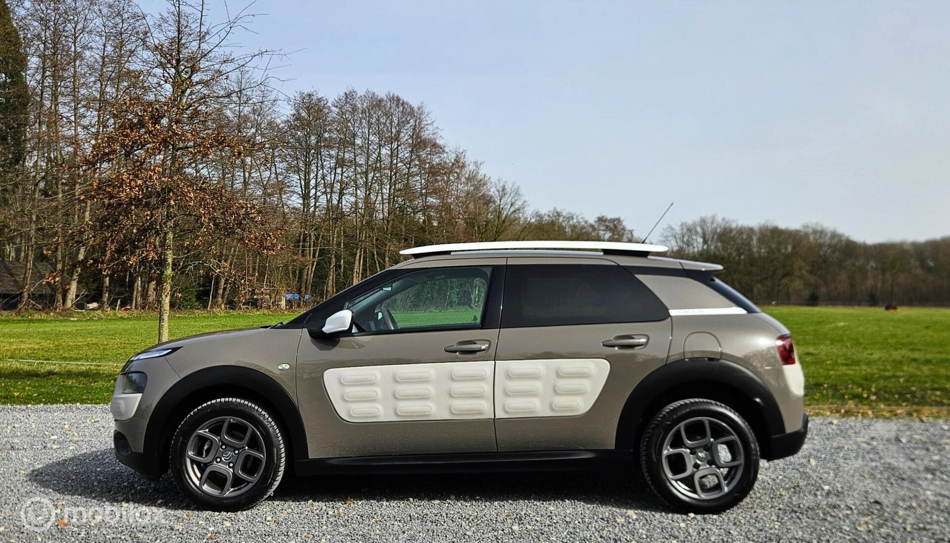 Hoofdafbeelding Citroën C4 Cactus
