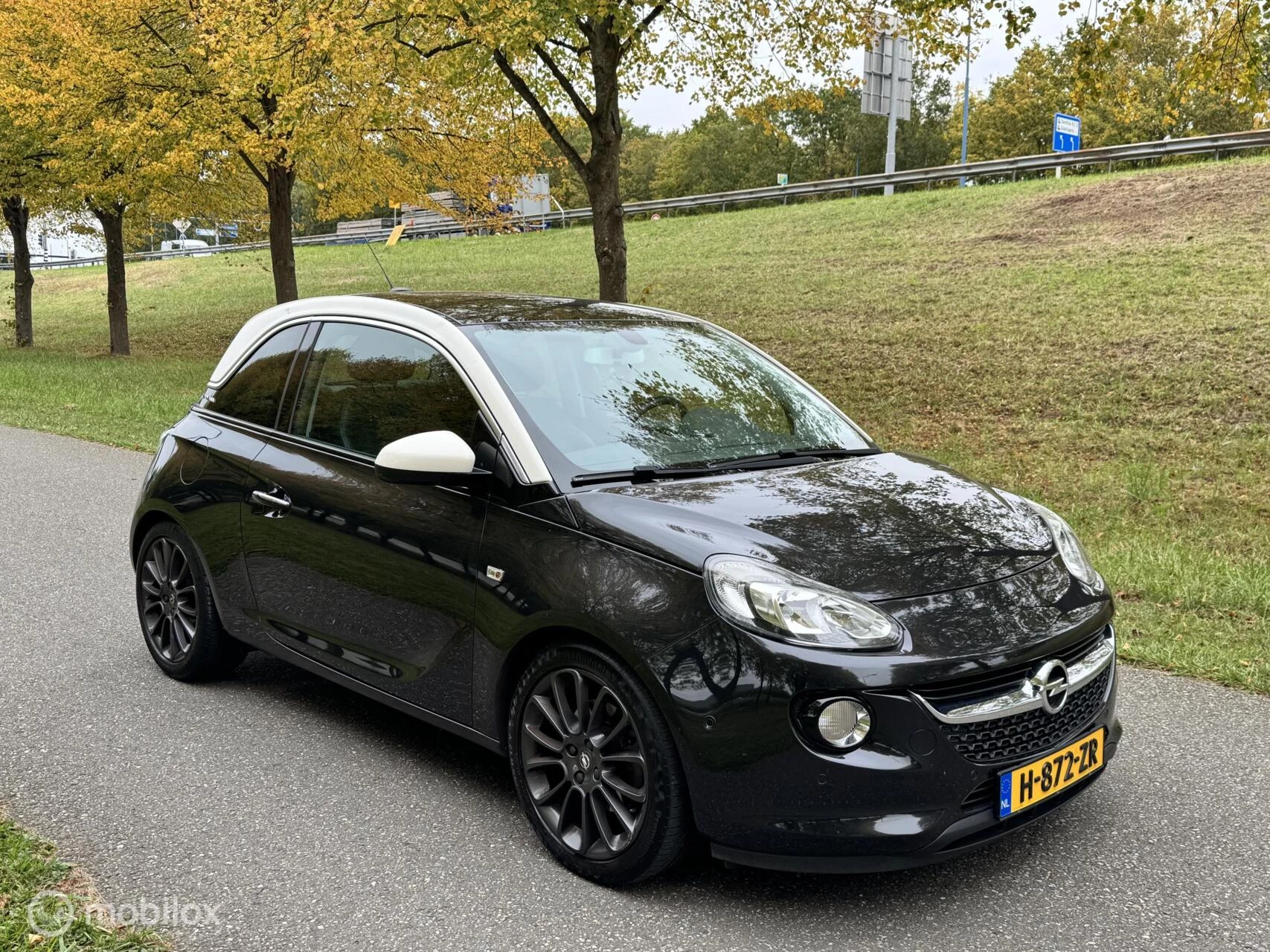 Hoofdafbeelding Opel ADAM