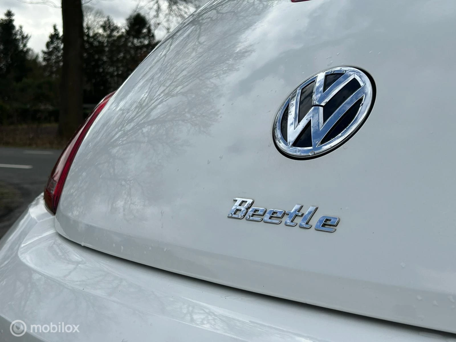 Hoofdafbeelding Volkswagen Beetle