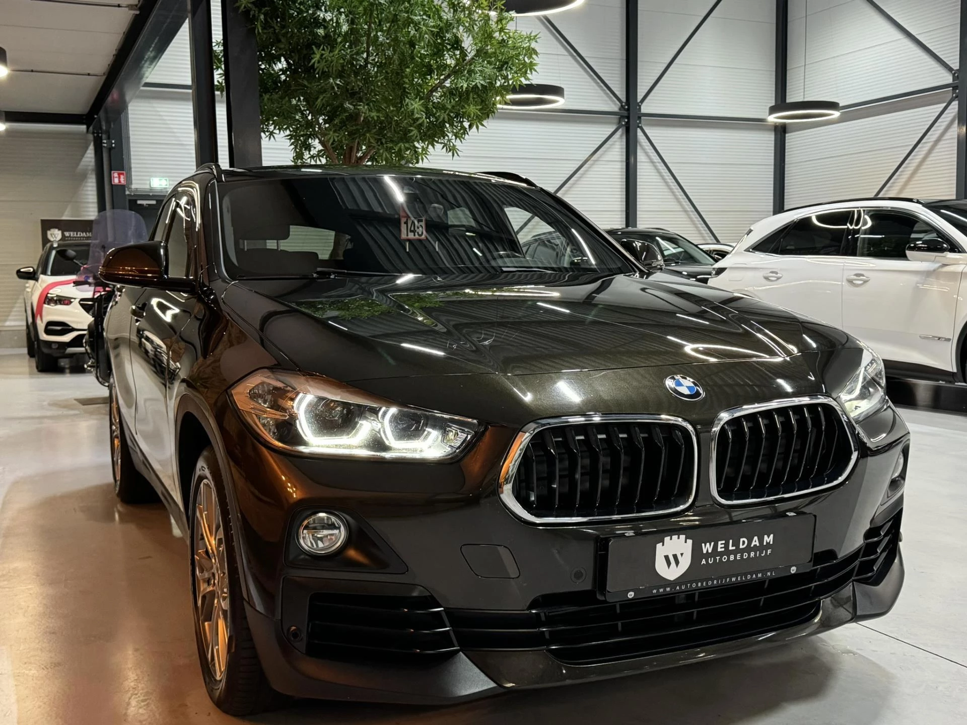 Hoofdafbeelding BMW X2