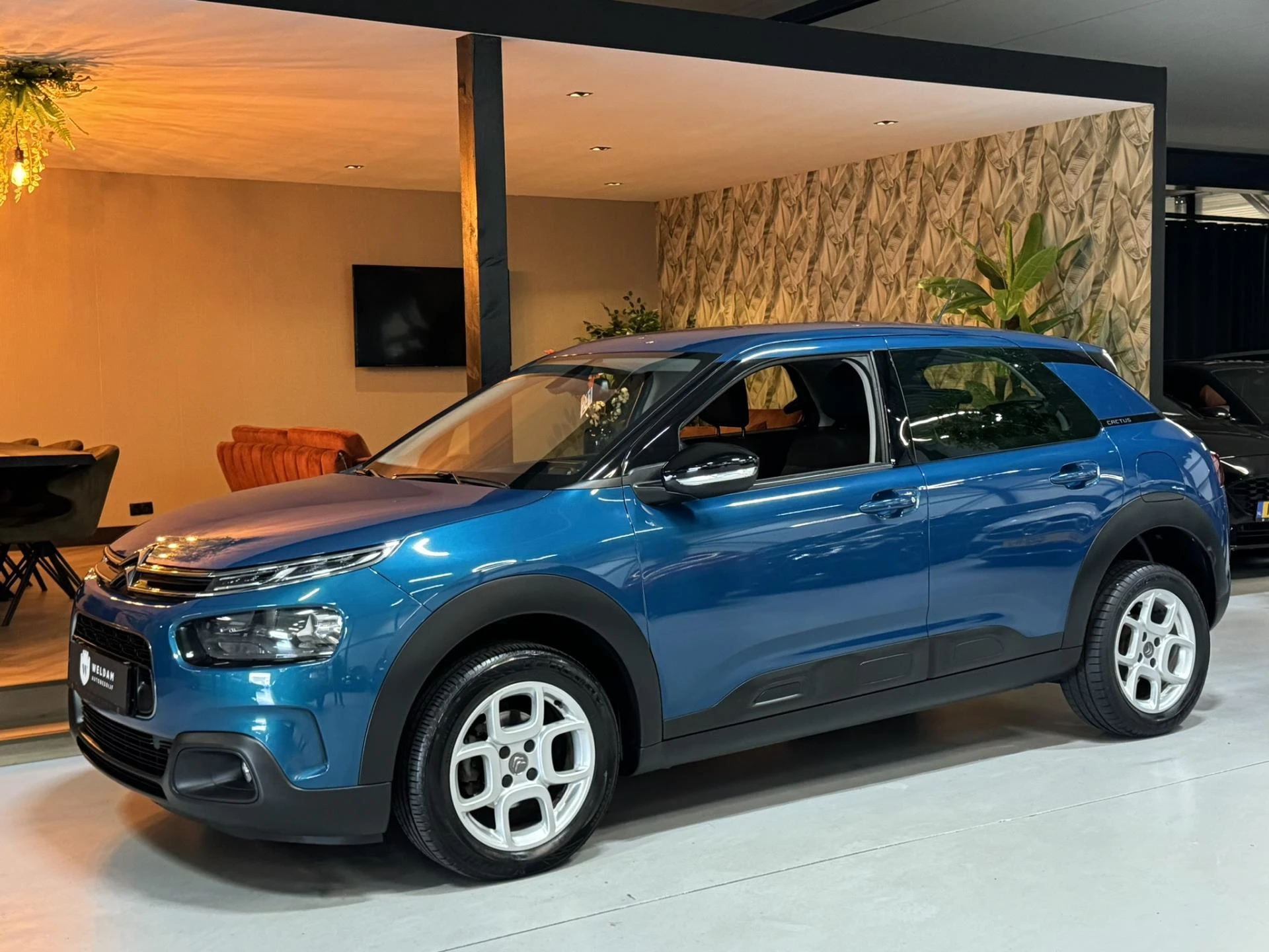Hoofdafbeelding Citroën C4 Cactus