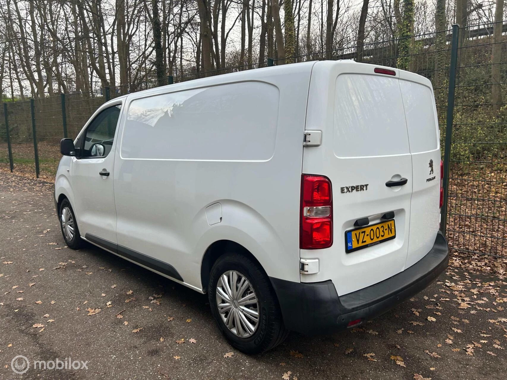 Hoofdafbeelding Peugeot Expert