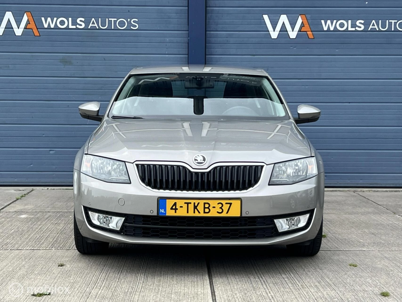 Hoofdafbeelding Škoda Octavia