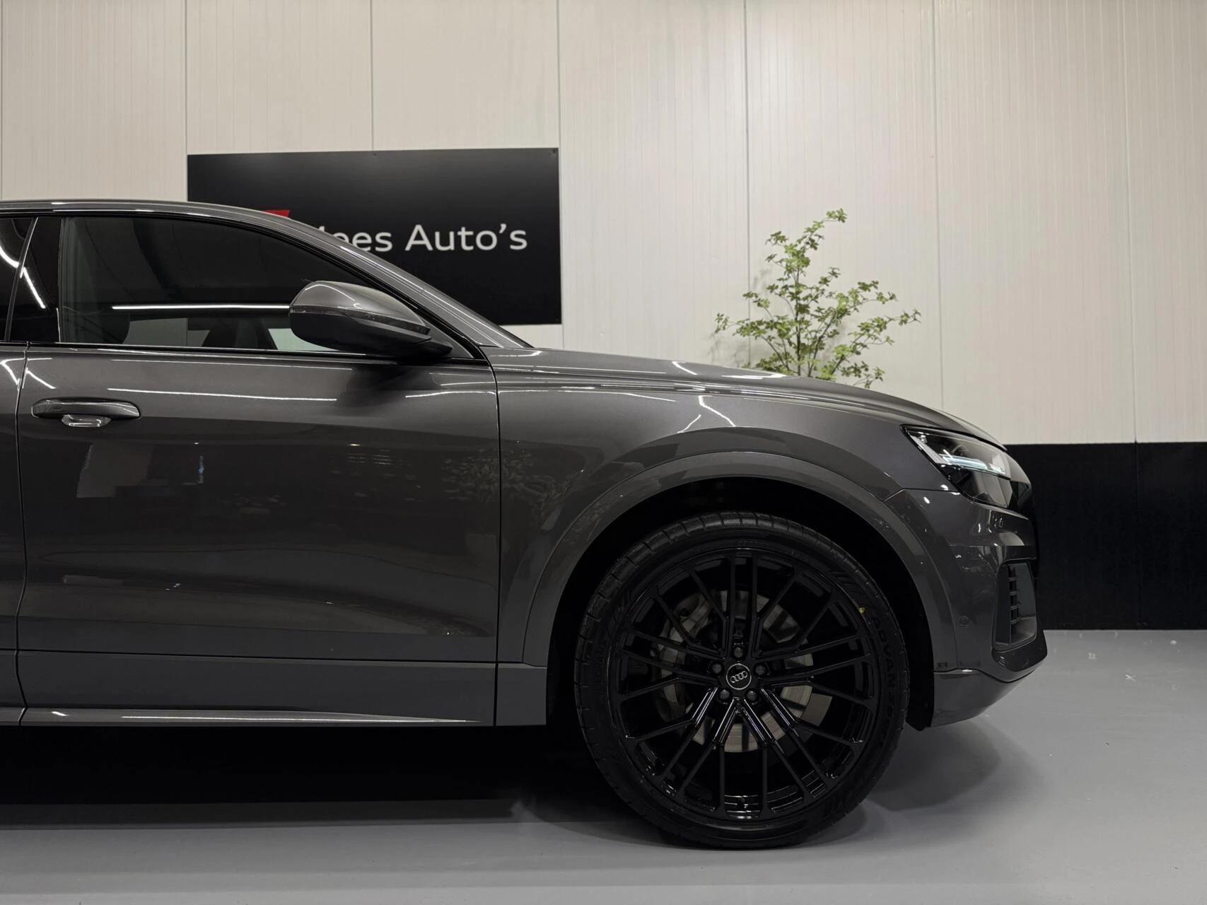 Hoofdafbeelding Audi Q8