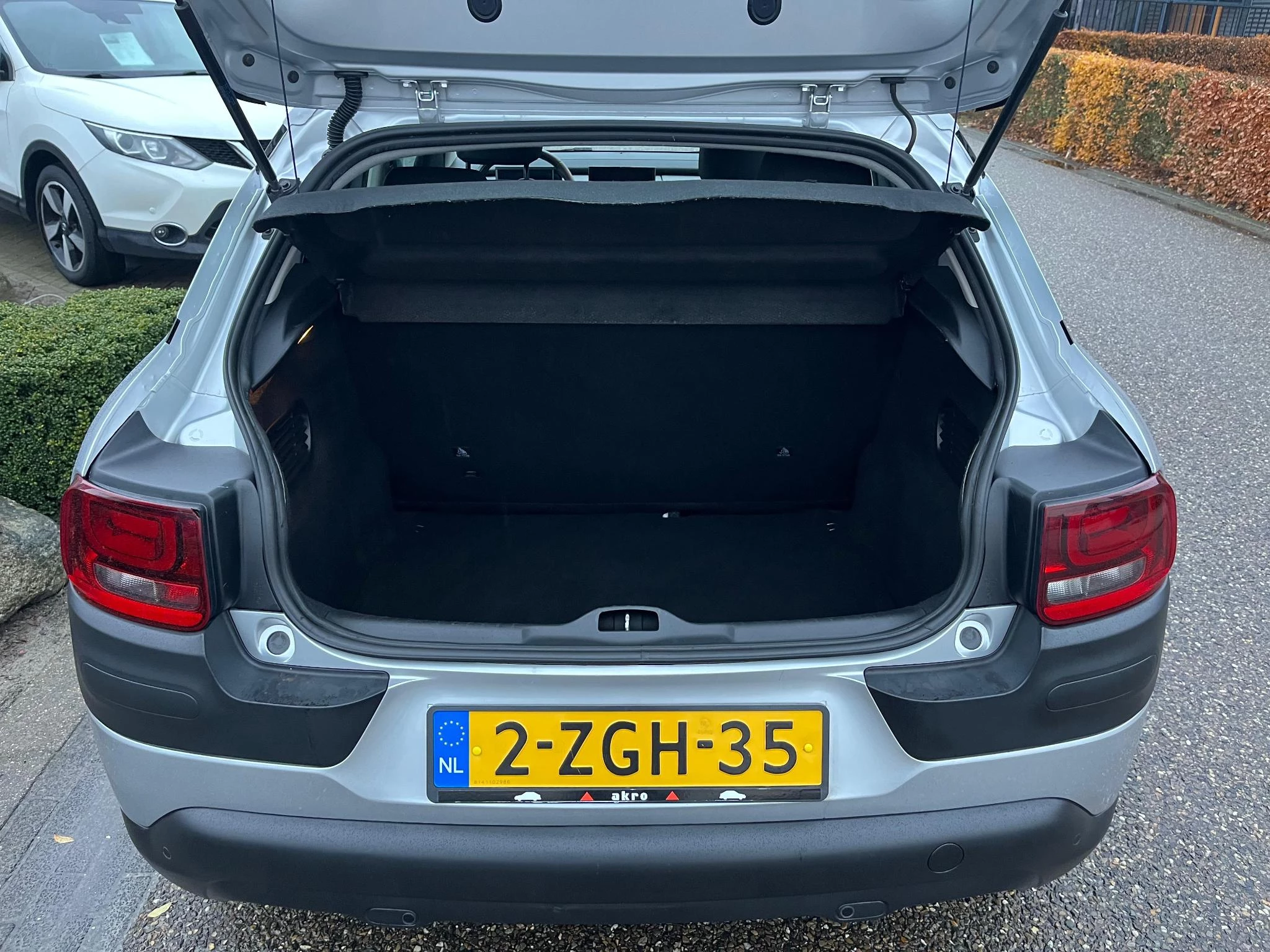 Hoofdafbeelding Citroën C4 Cactus