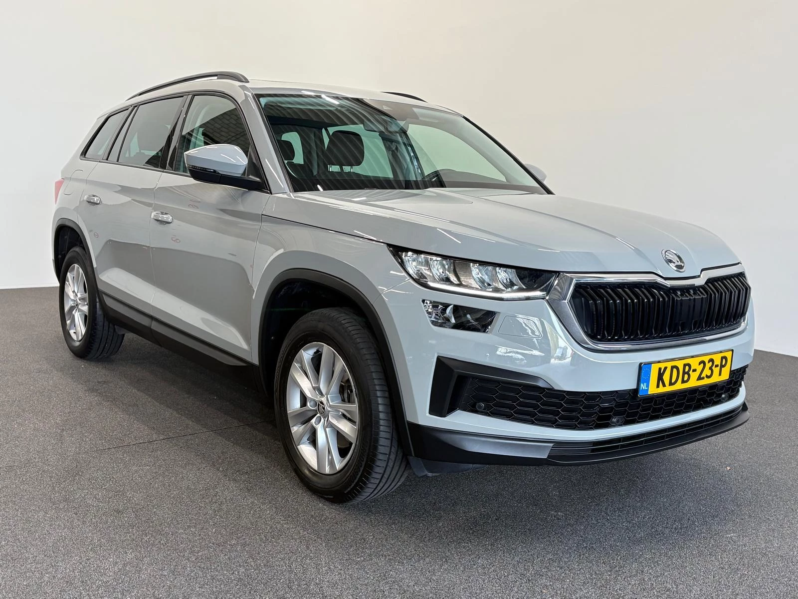 Hoofdafbeelding Škoda Kodiaq
