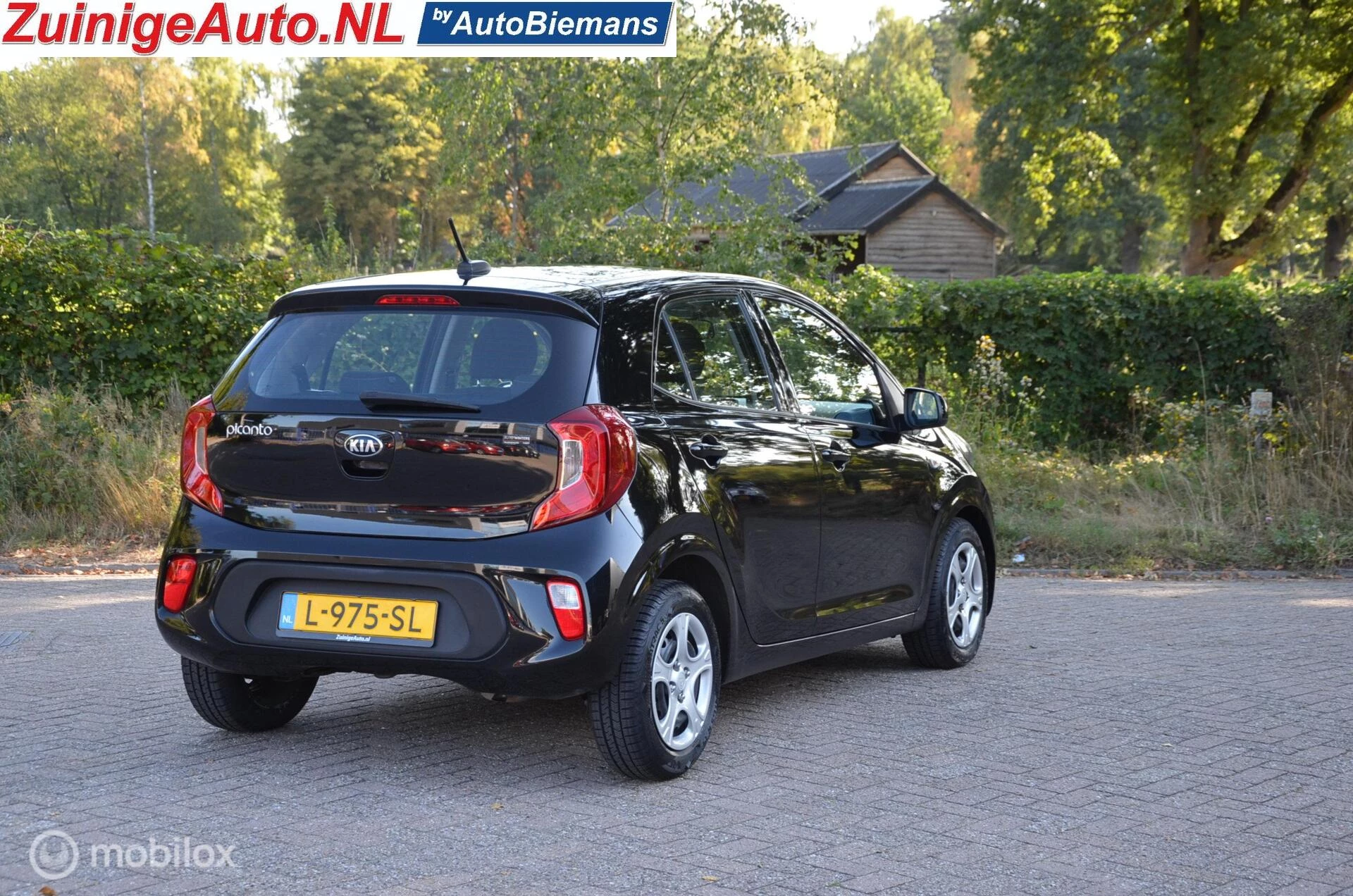 Hoofdafbeelding Kia Picanto