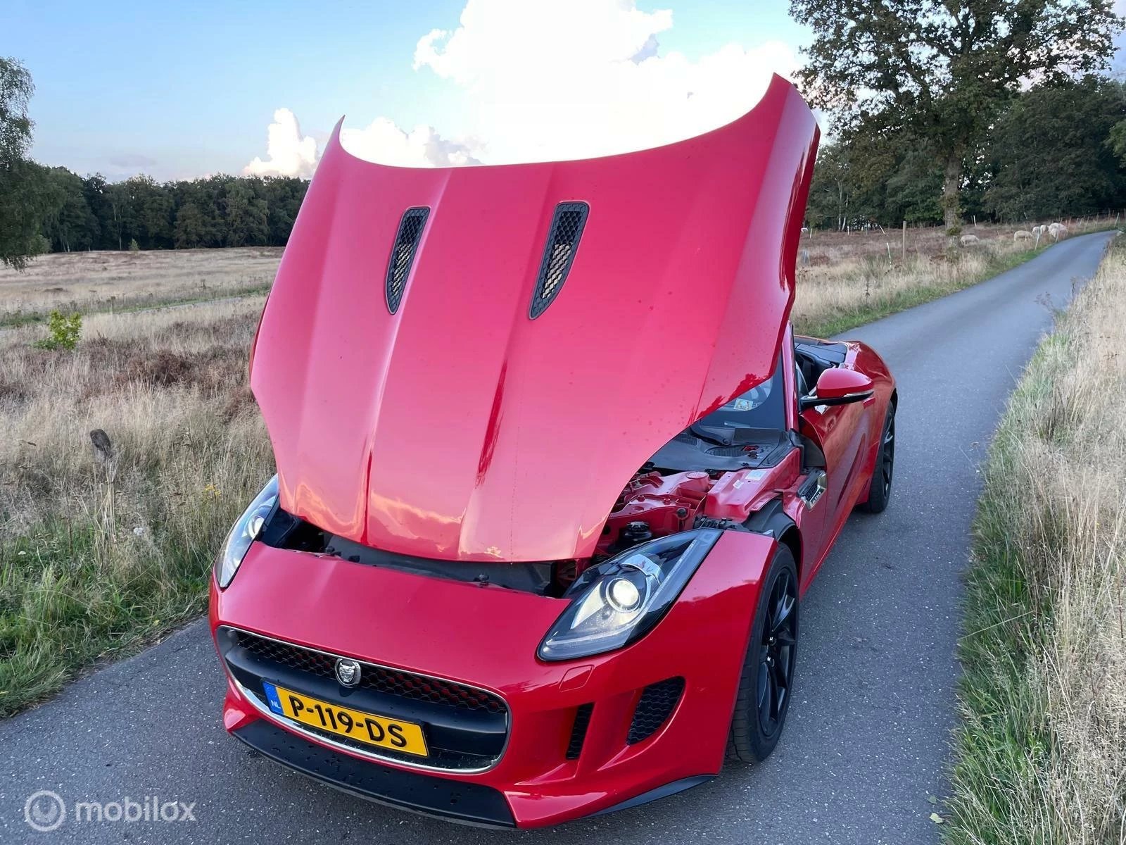 Hoofdafbeelding Jaguar F-Type