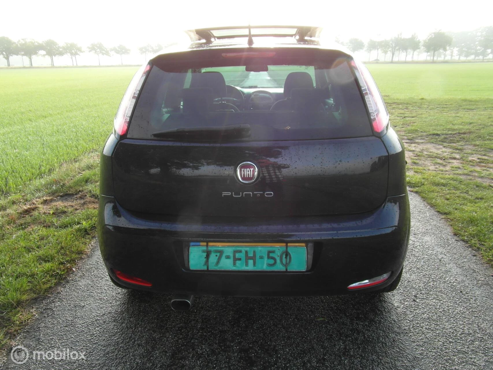 Hoofdafbeelding Fiat Punto