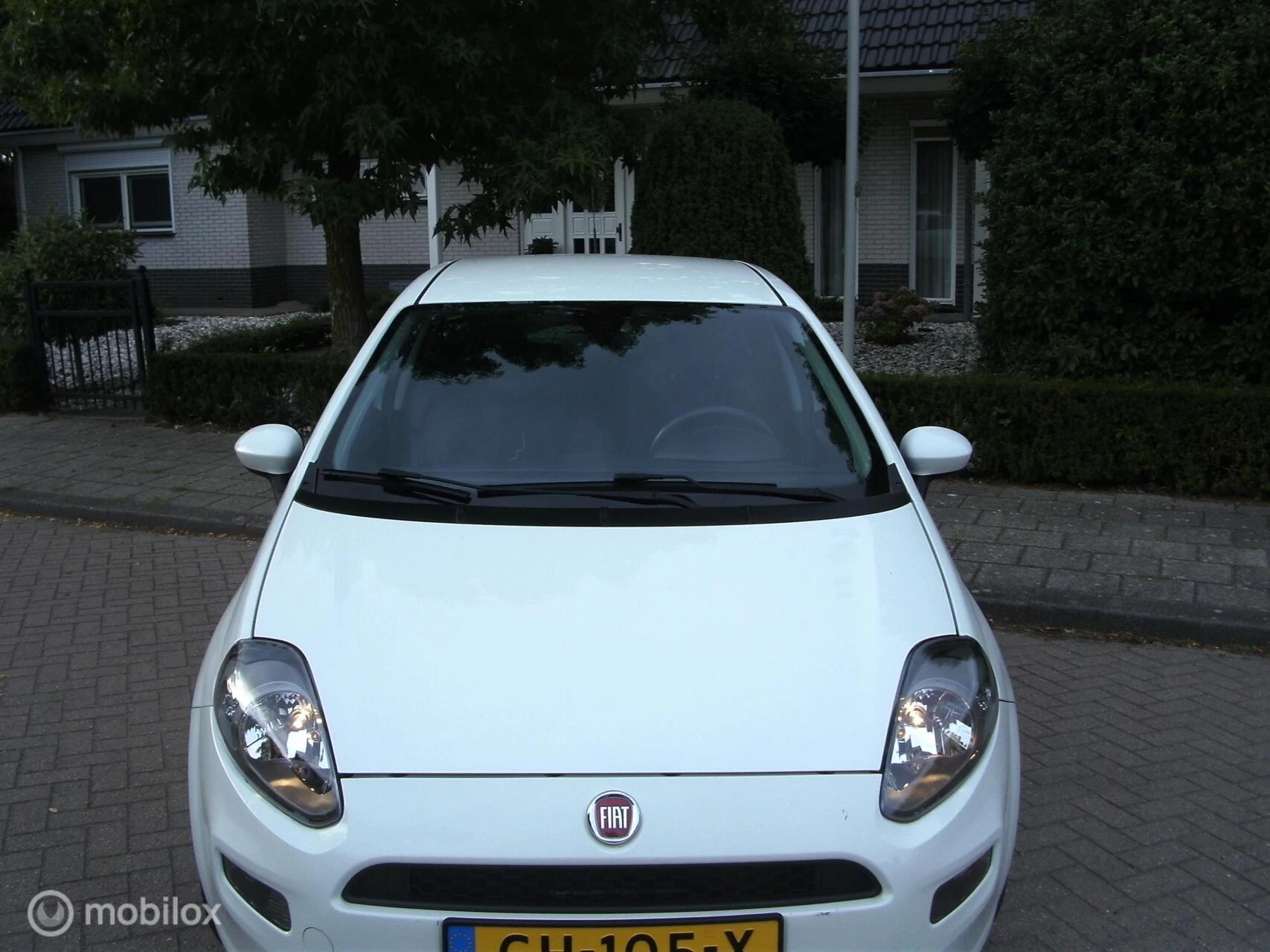 Hoofdafbeelding Fiat Punto