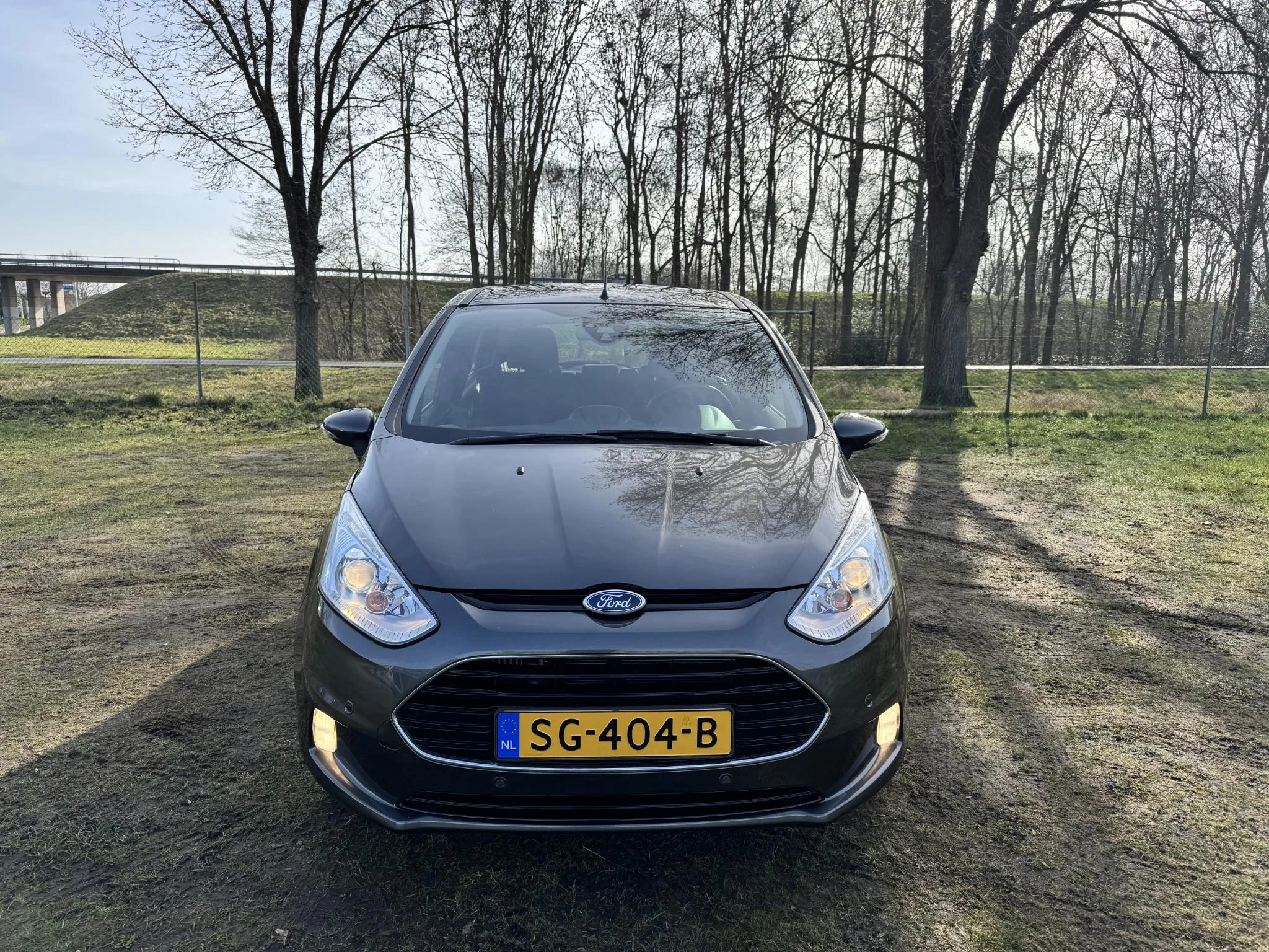 Hoofdafbeelding Ford B-MAX