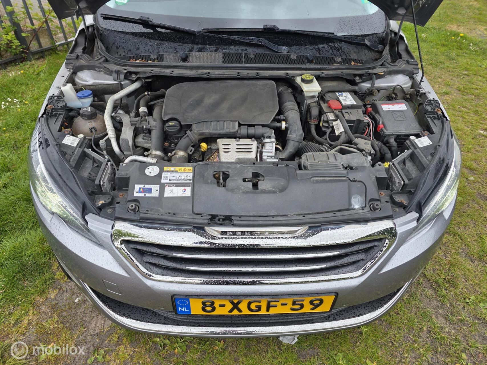 Hoofdafbeelding Peugeot 308