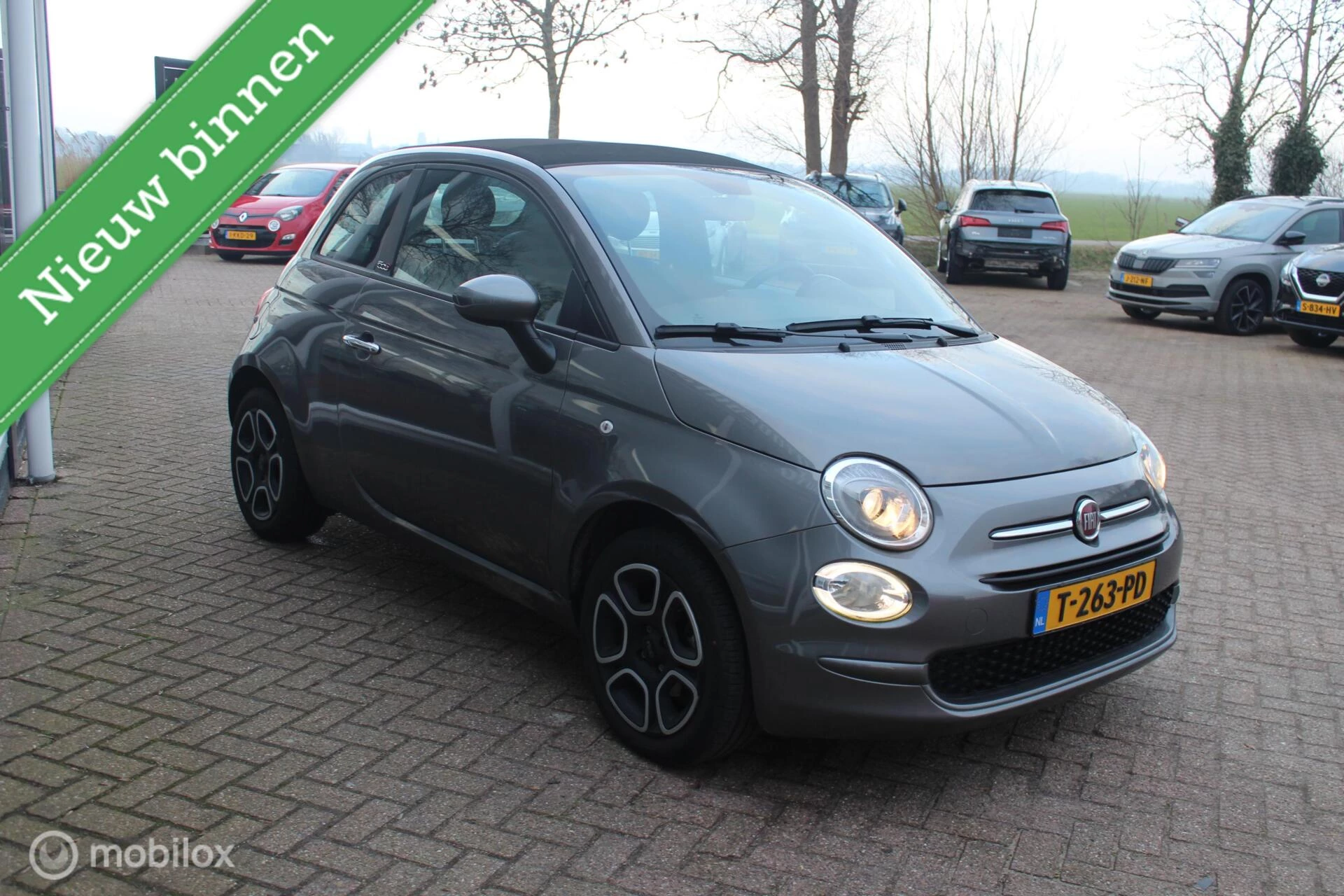 Hoofdafbeelding Fiat 500C