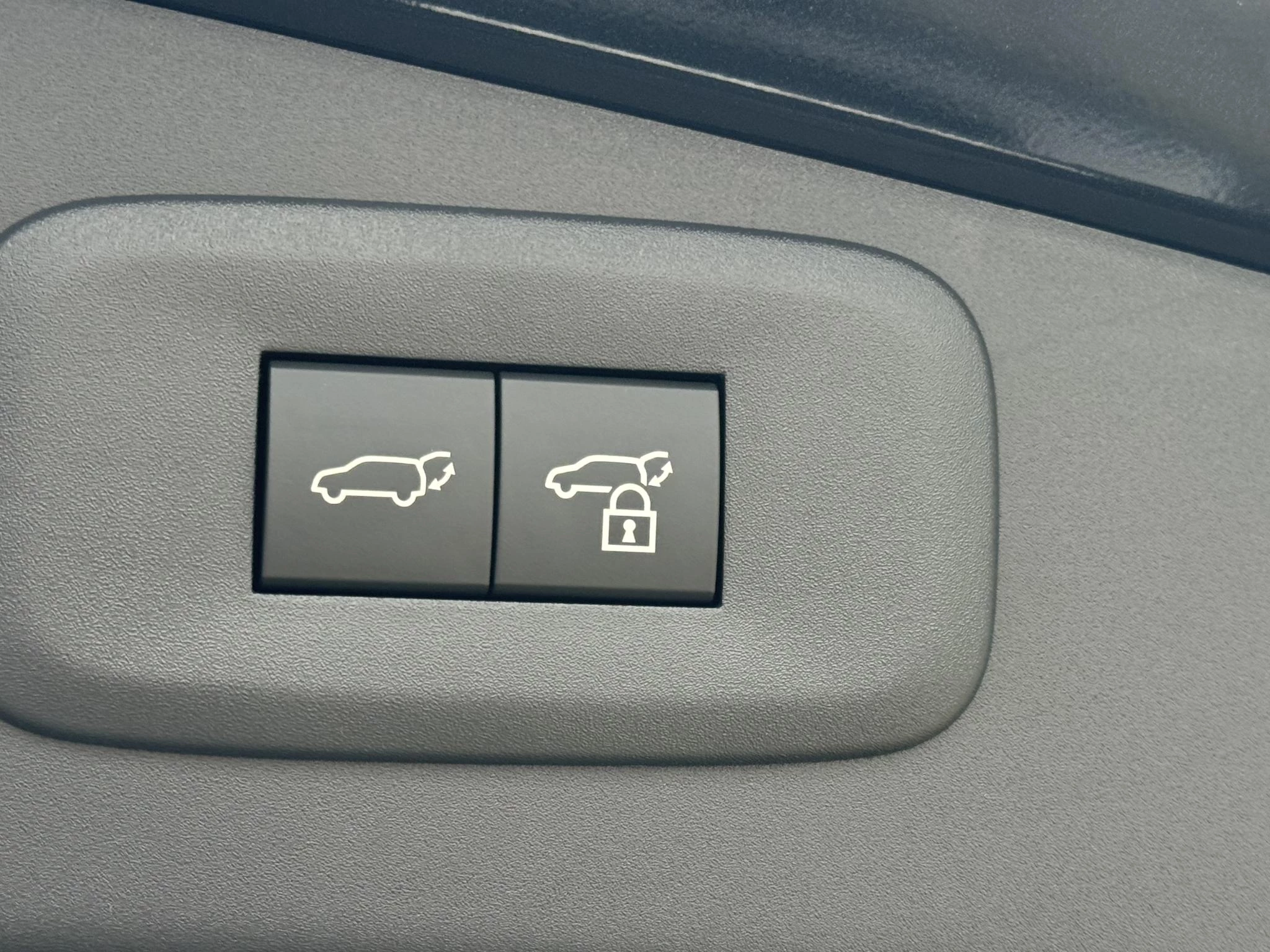 Hoofdafbeelding Lexus RZ