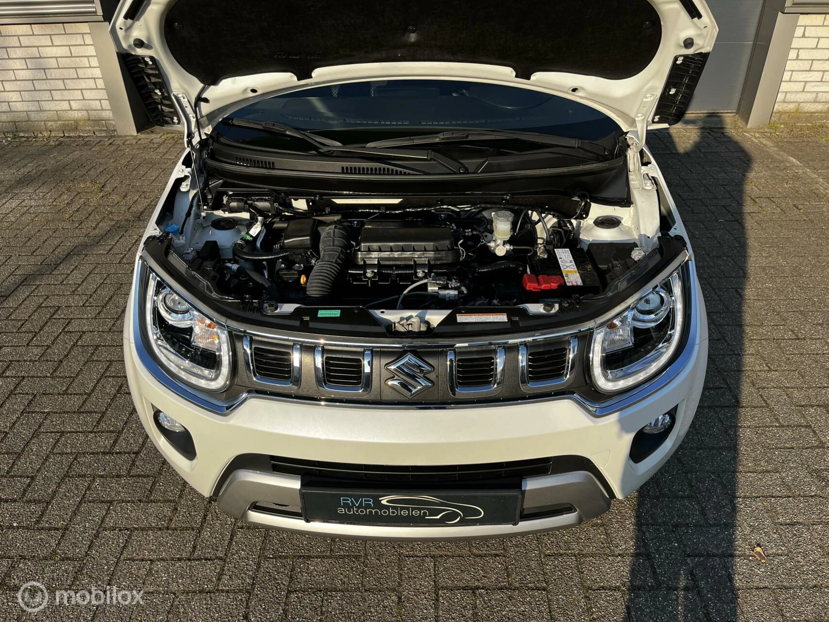Hoofdafbeelding Suzuki Ignis