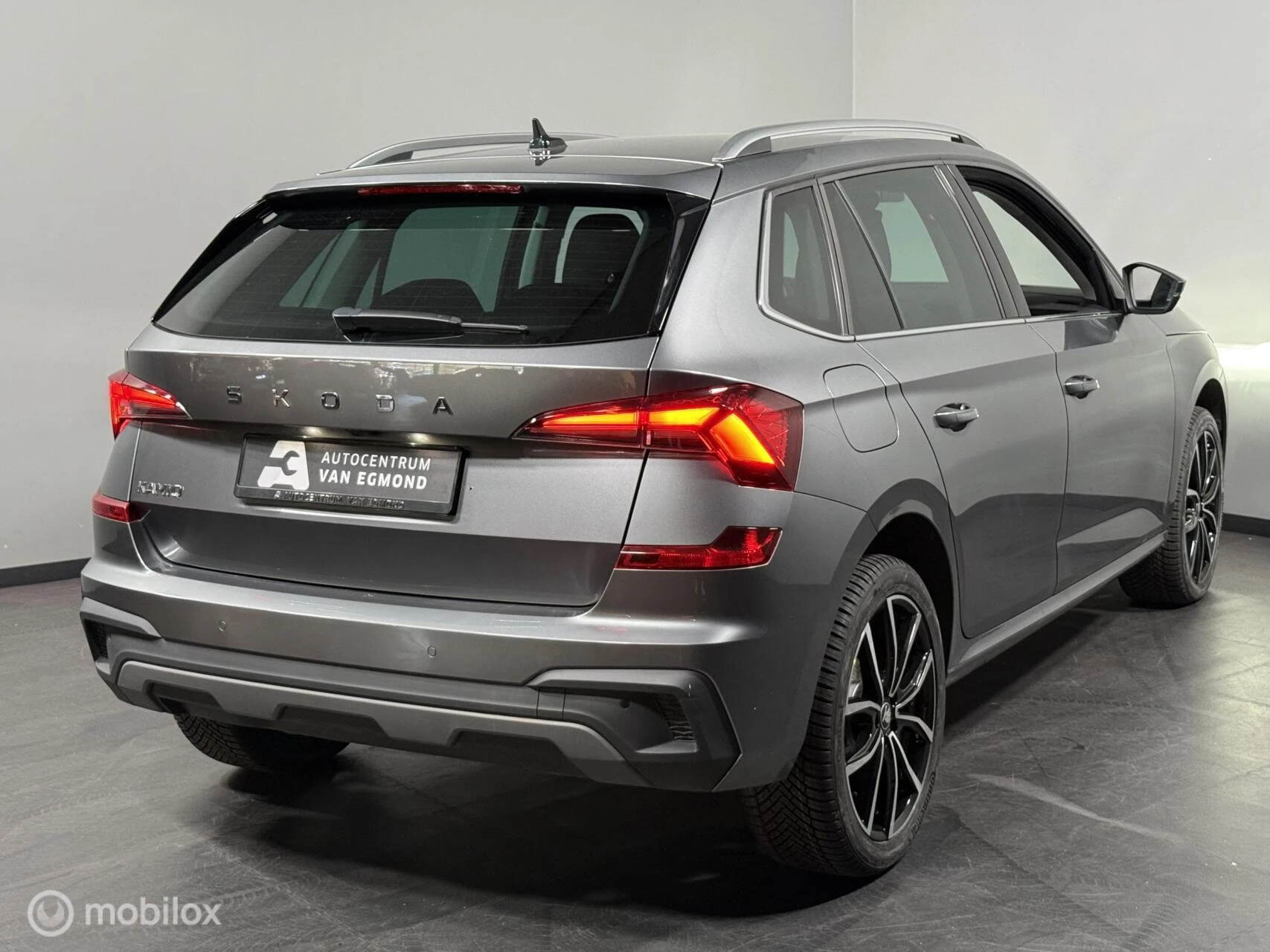 Hoofdafbeelding Škoda Kamiq