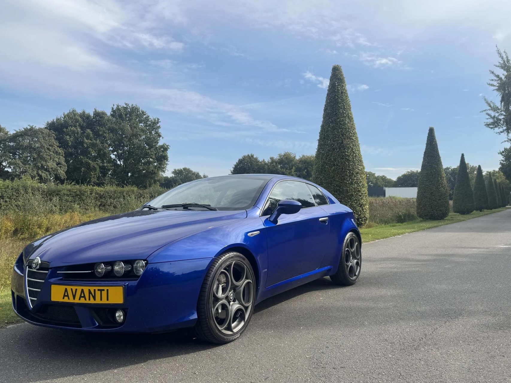 Hoofdafbeelding Alfa Romeo Brera