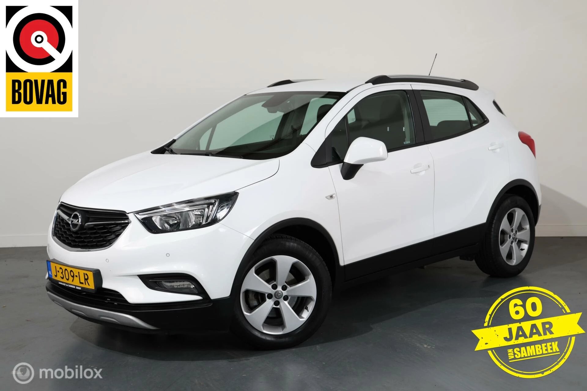 Hoofdafbeelding Opel Mokka X