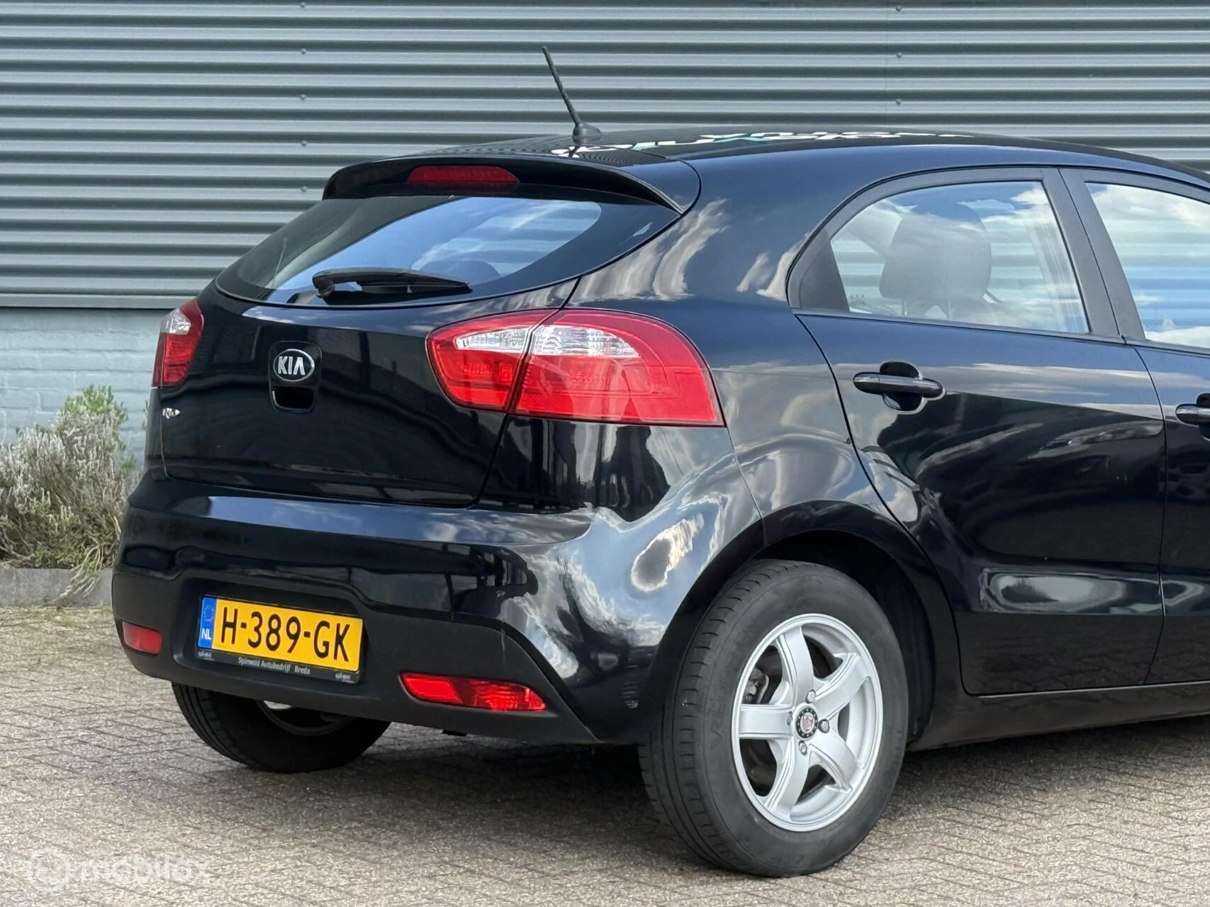 Hoofdafbeelding Kia Rio