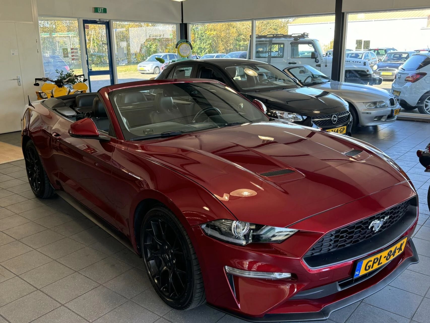 Hoofdafbeelding Ford Mustang