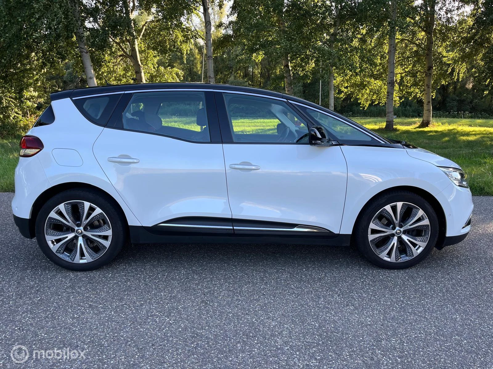 Hoofdafbeelding Renault Scénic