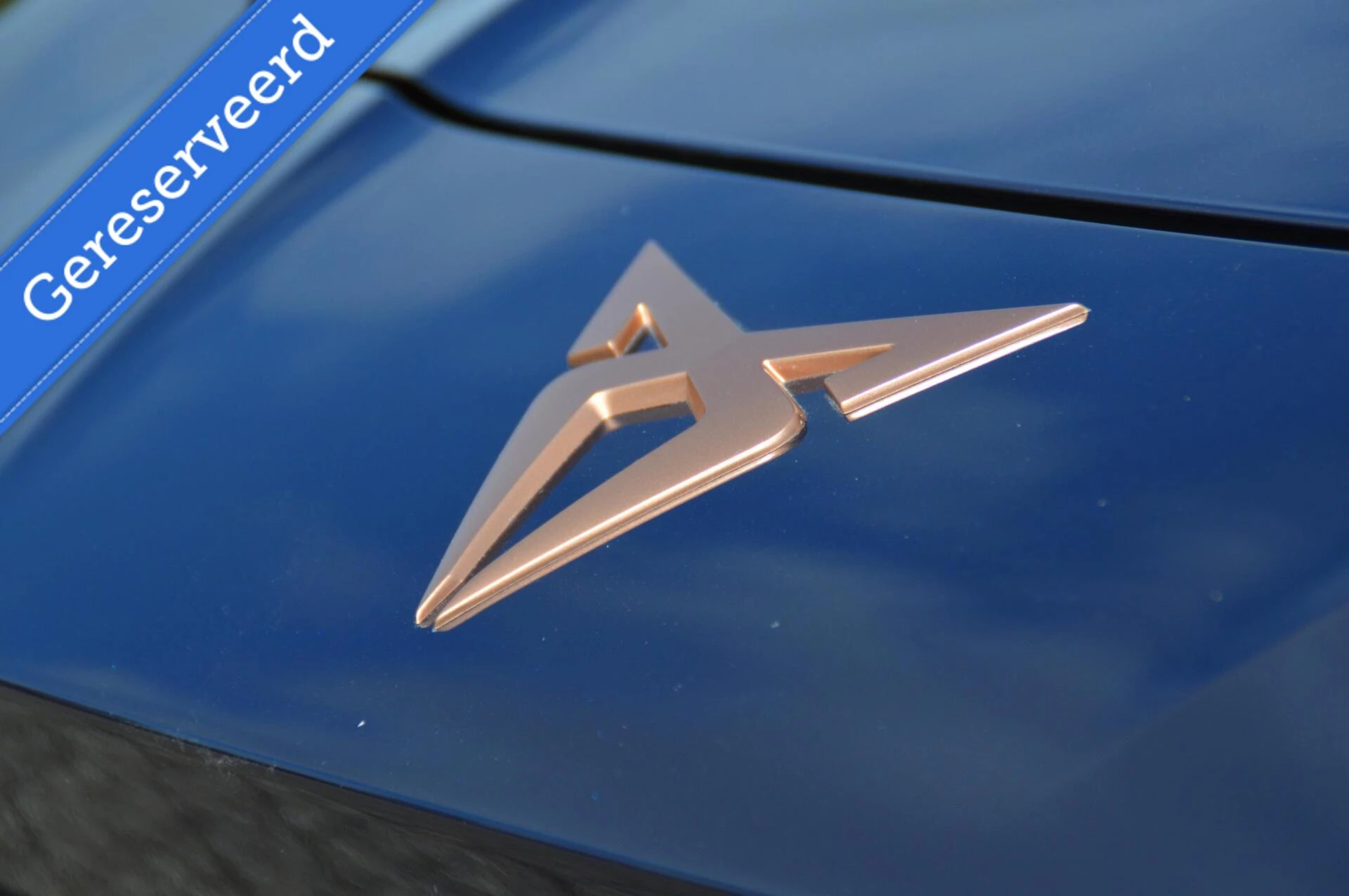 Hoofdafbeelding CUPRA Terramar
