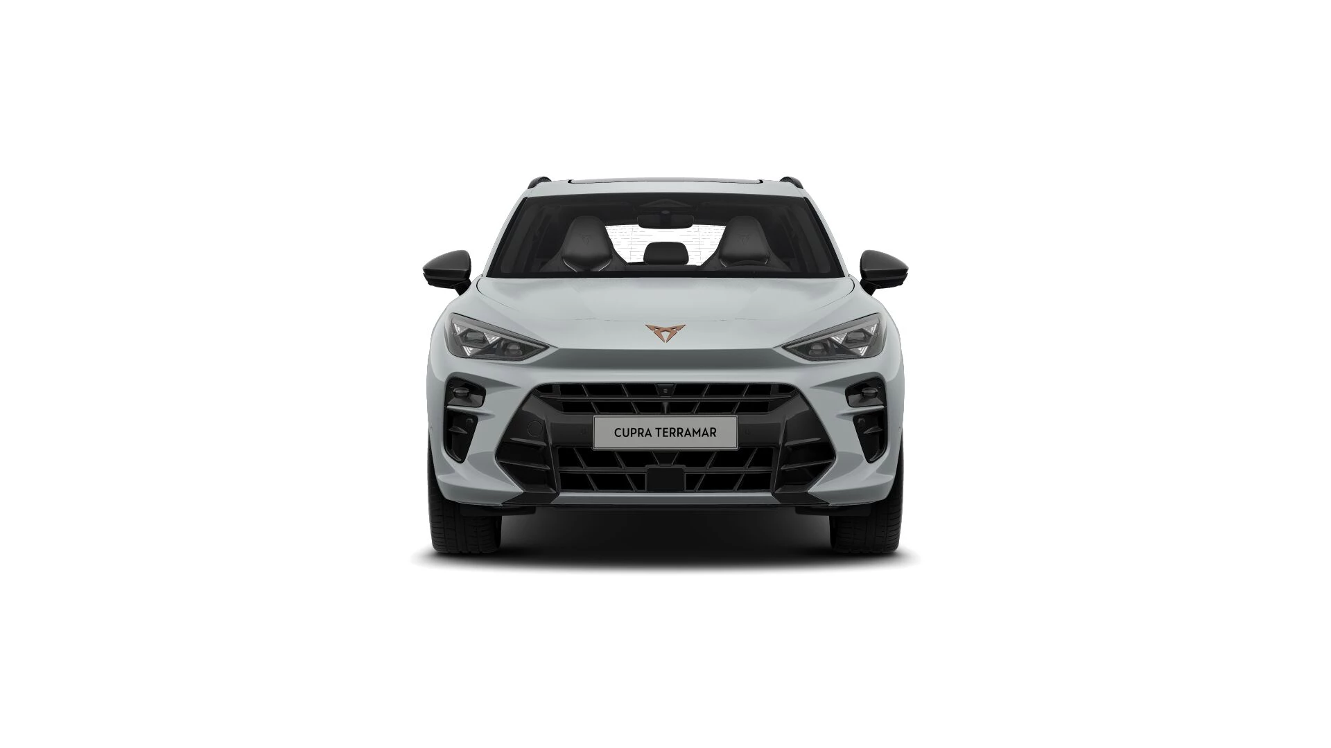 Hoofdafbeelding CUPRA Terramar