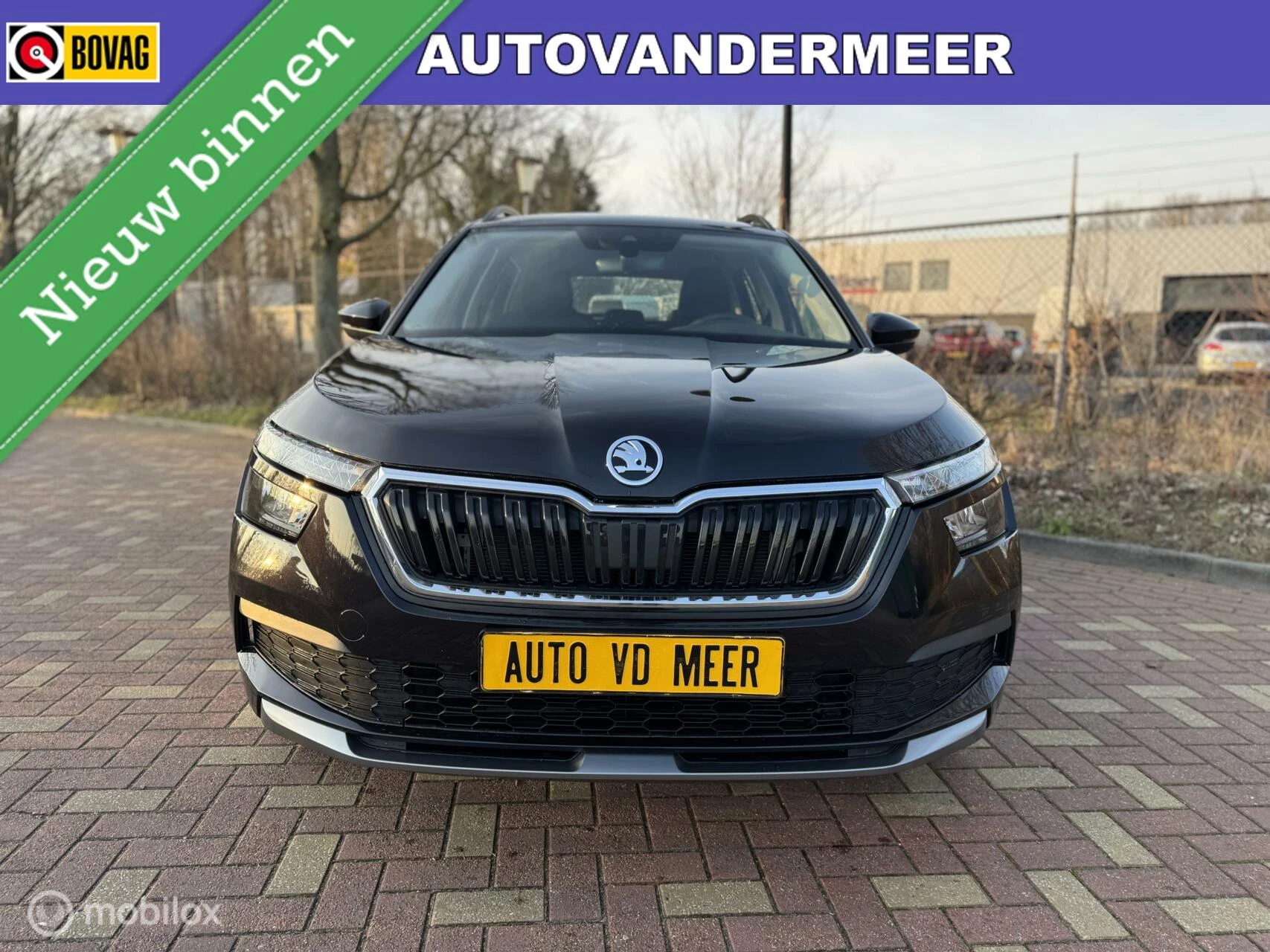 Hoofdafbeelding Škoda Kamiq
