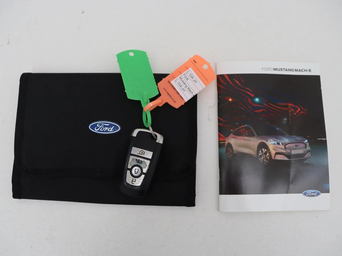 Hoofdafbeelding Ford Mustang Mach-E