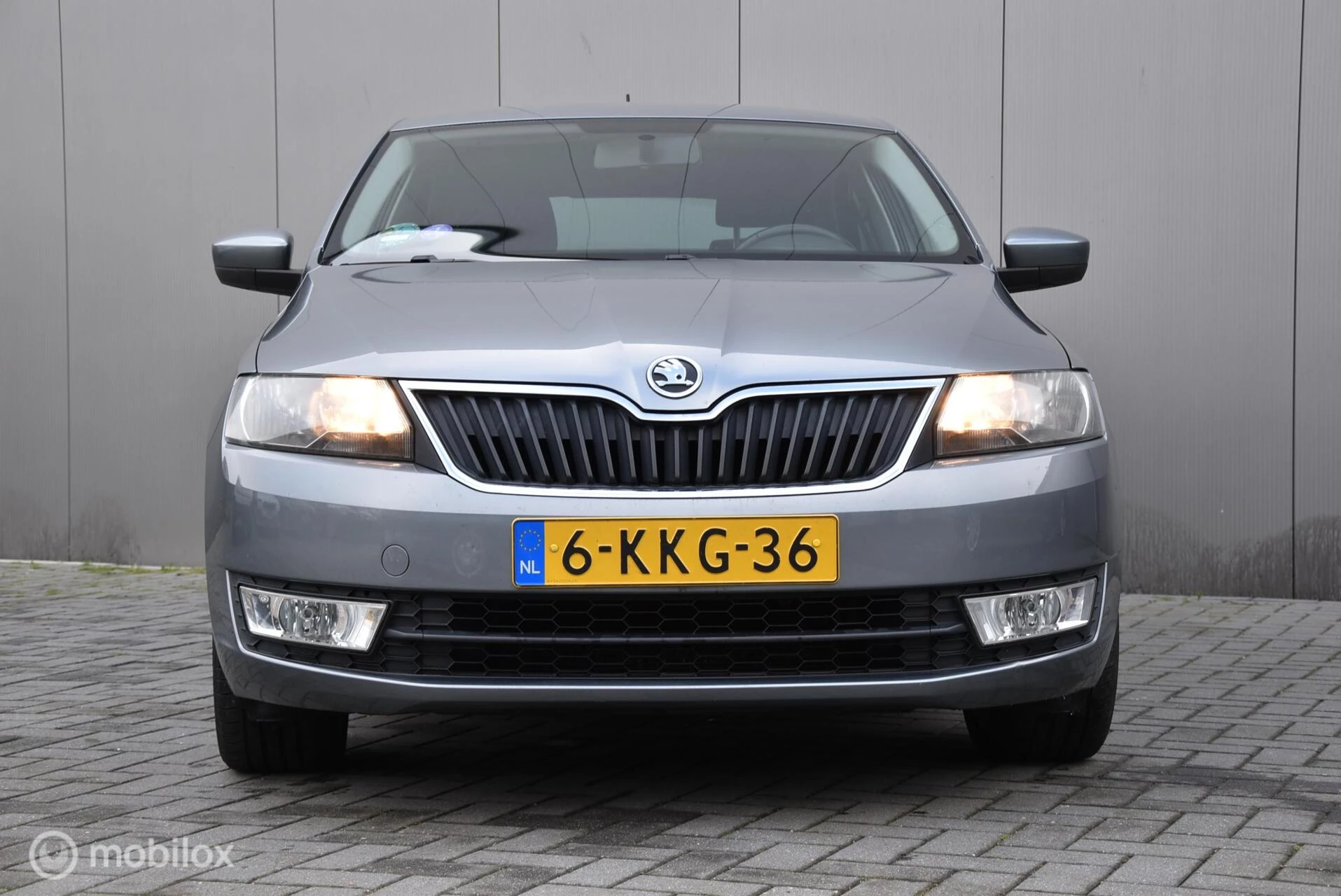 Hoofdafbeelding Škoda Rapid