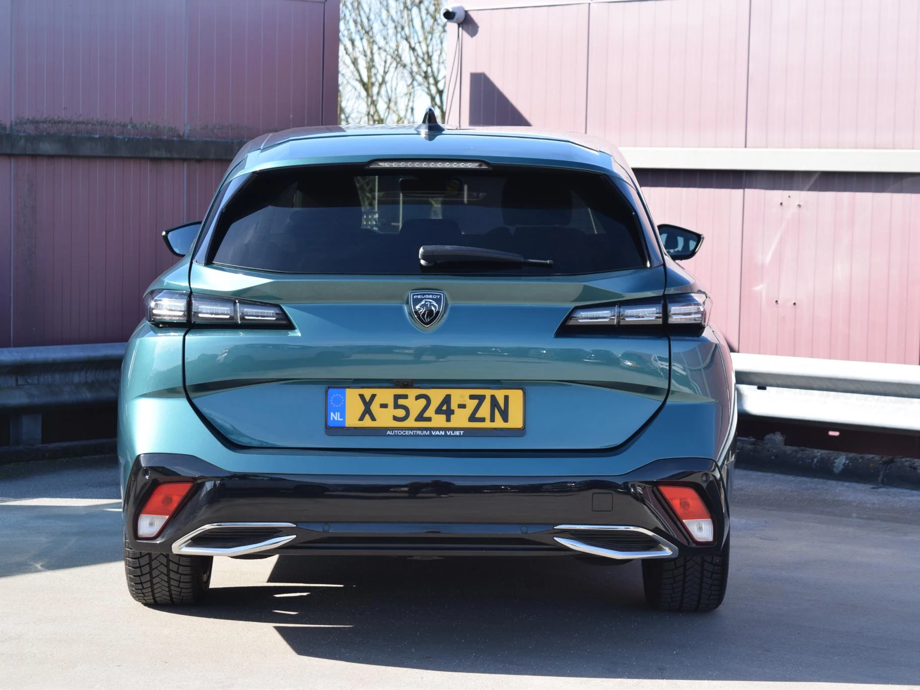 Hoofdafbeelding Peugeot e-308