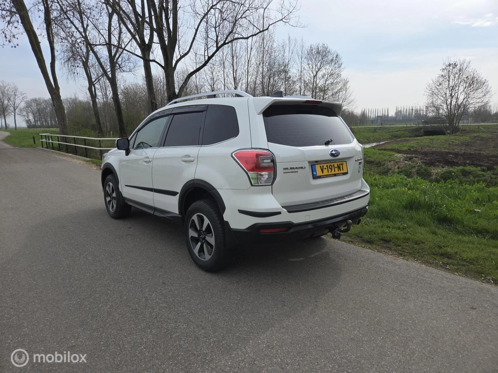 Hoofdafbeelding Subaru Forester