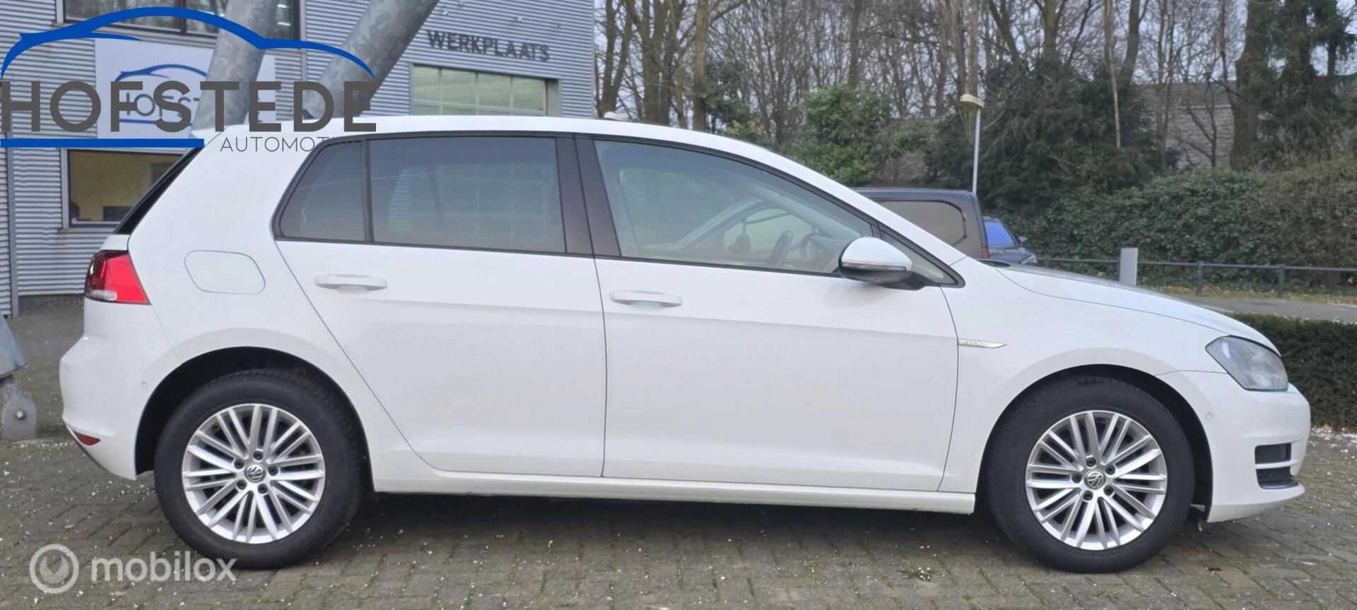 Hoofdafbeelding Volkswagen Golf