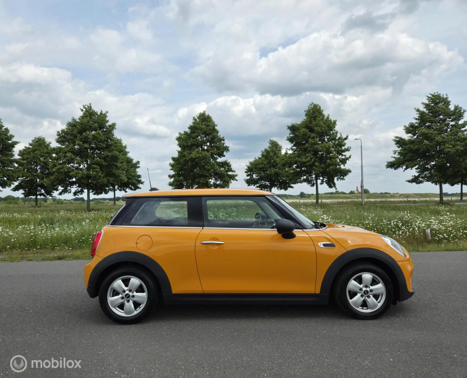 Hoofdafbeelding MINI One